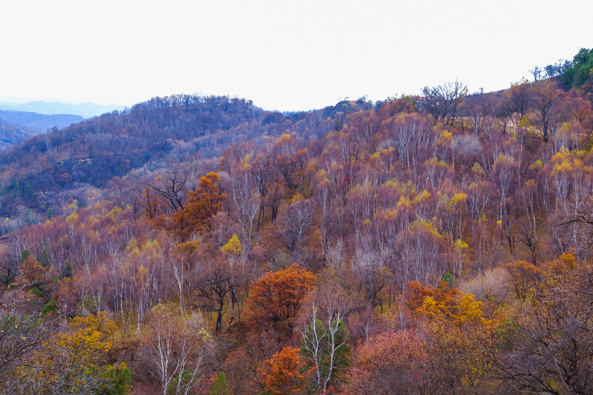 写一篇延安鑫源土特产销售公司产品线上销售渠道单一问题分析。