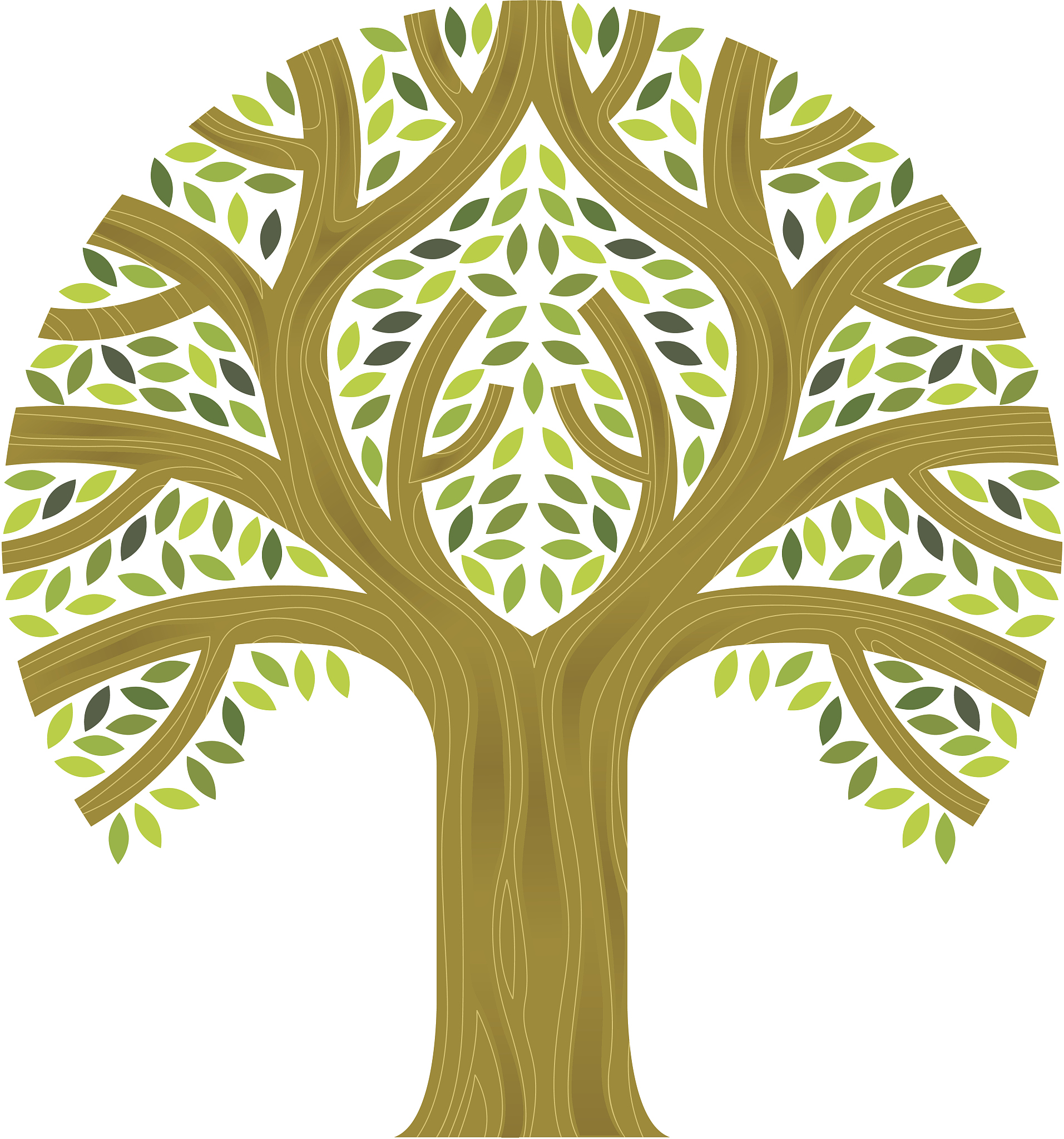 little tree illustration