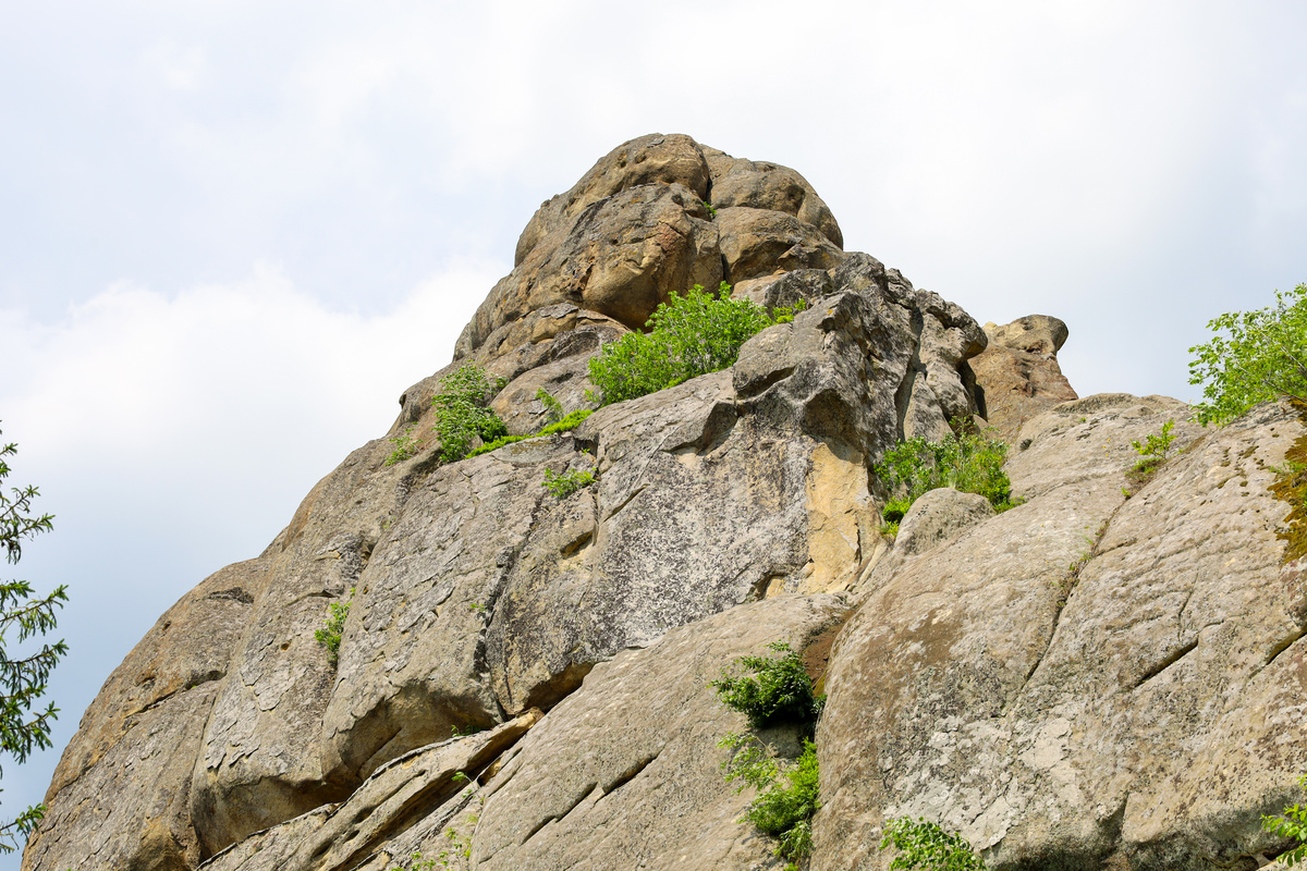 植被覆盖度的变化可以看出