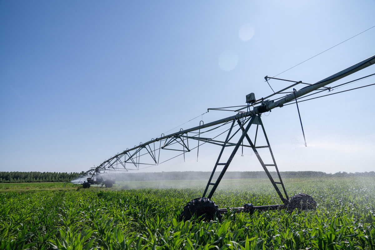 Evolutionary Applications期刊研究范围详细介绍