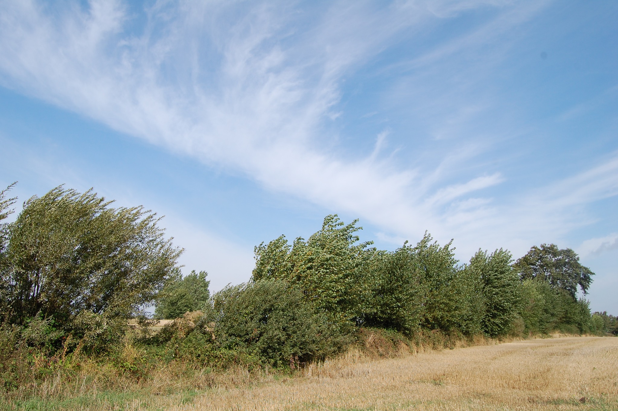 写一首表达伤感情绪的中文乡村歌曲歌曲表达的主题为冒险歌词结构为verse1、verse2、Pre-Chorus1、chorus1、chorus2、verse3、verse4、chorus3、Bridge1、chorus4并确保chorus1、chorus2、chorus3、chorus4、verse5、Pre-Chorus2、chorus5、Bridge2、歌词不重复每段歌词结尾使用中文mengw