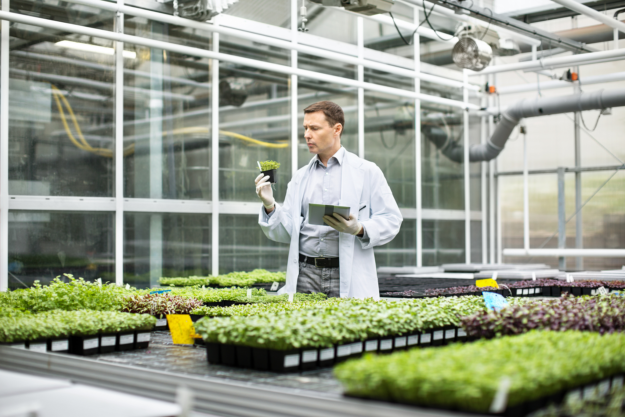 江苏农牧科技职业学院专业有哪些？专业介绍