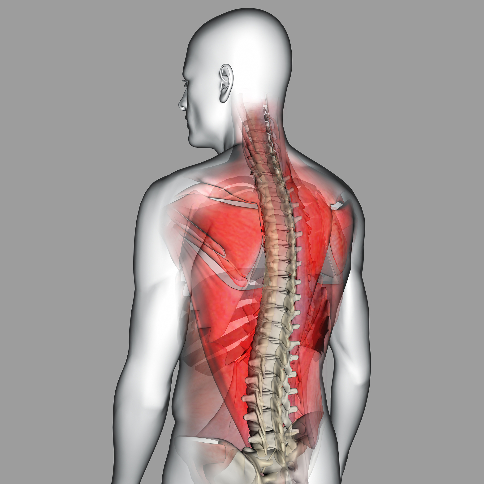 人体骨骼翻译：什么是 Middle Dip？