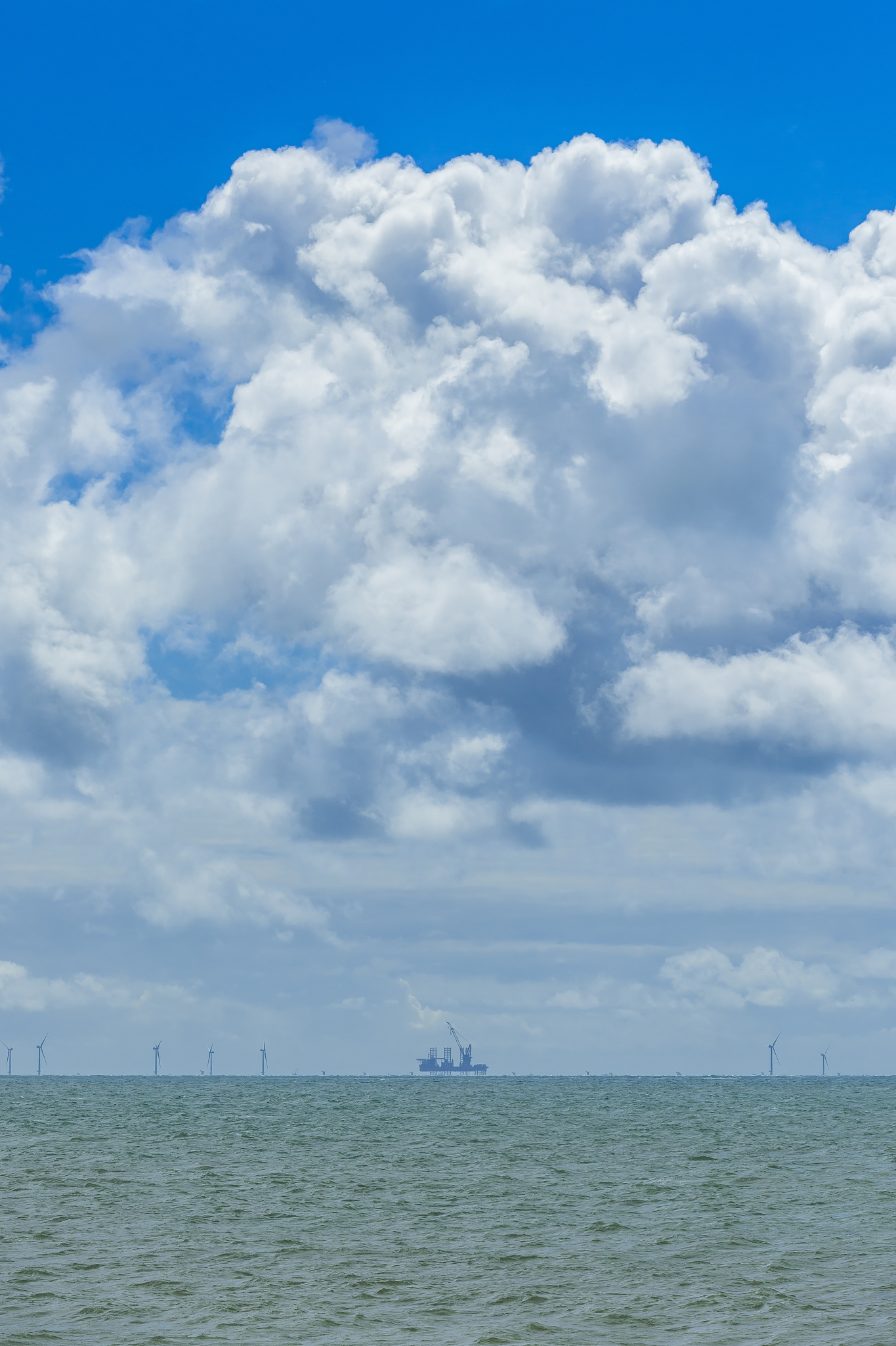 厦门海洋职业技术学院国际邮轮乘务管理专业专业好不好发展前景怎样