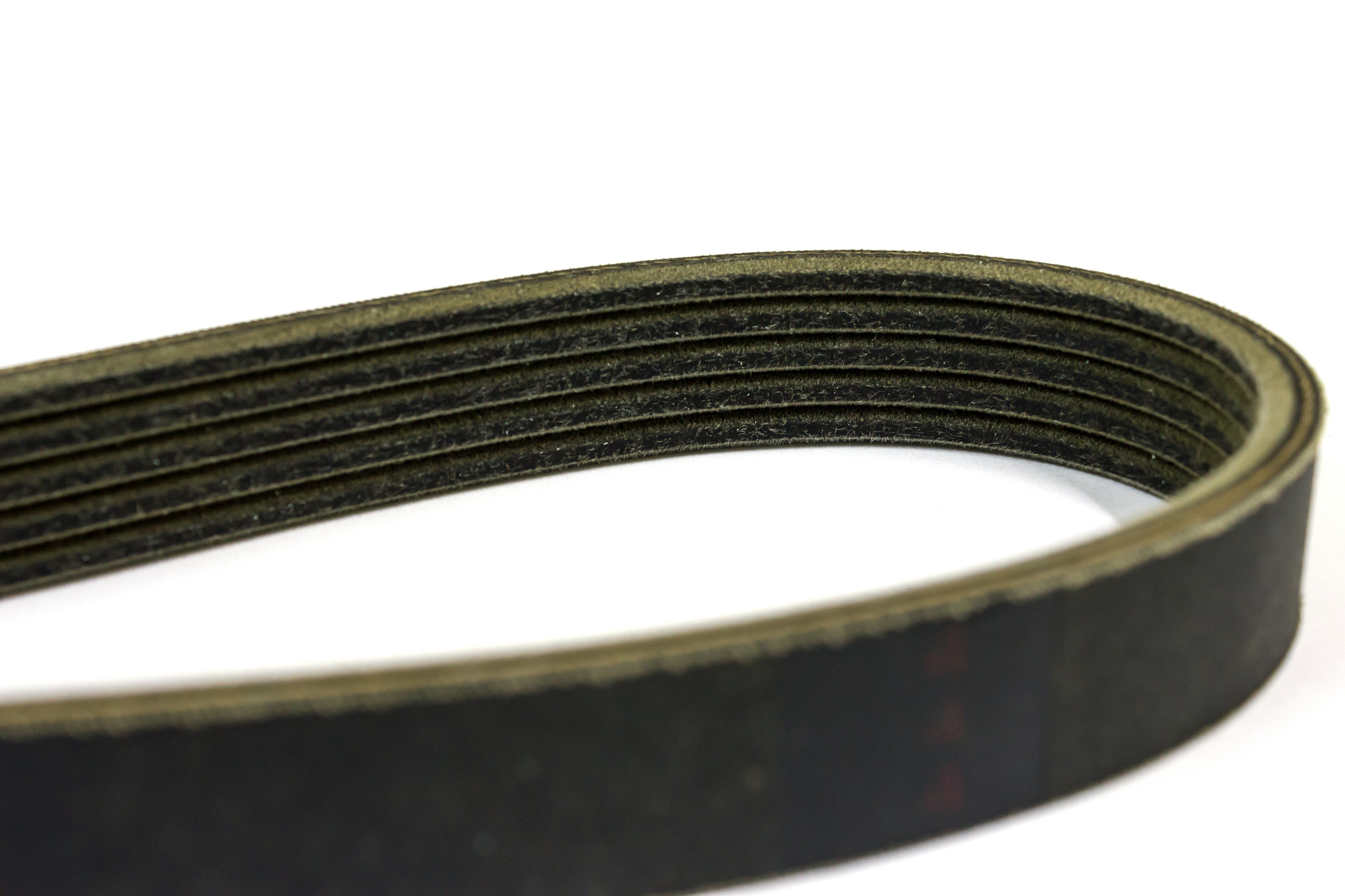 new drive belt on white background, isolated, v-shaped belt.