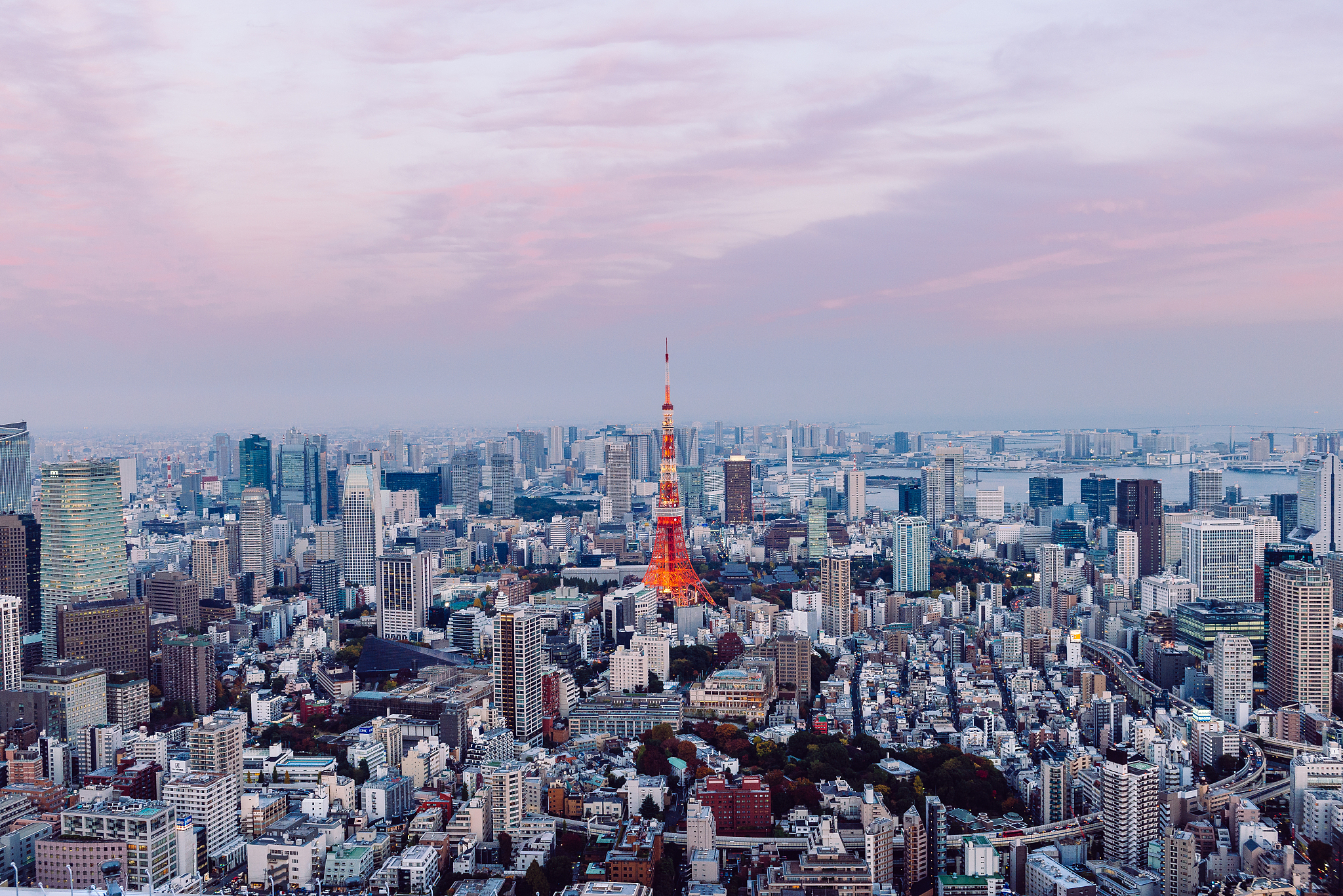 tokyo skyline