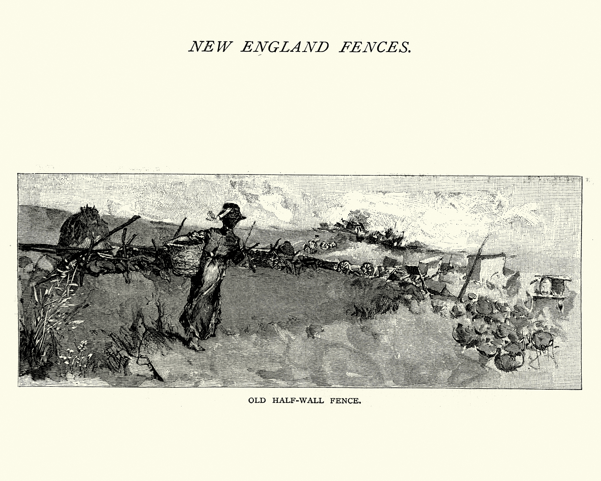 《乌托邦》为什么被称为‘乌托邦’？ - 解读托马斯·莫尔的经典作品