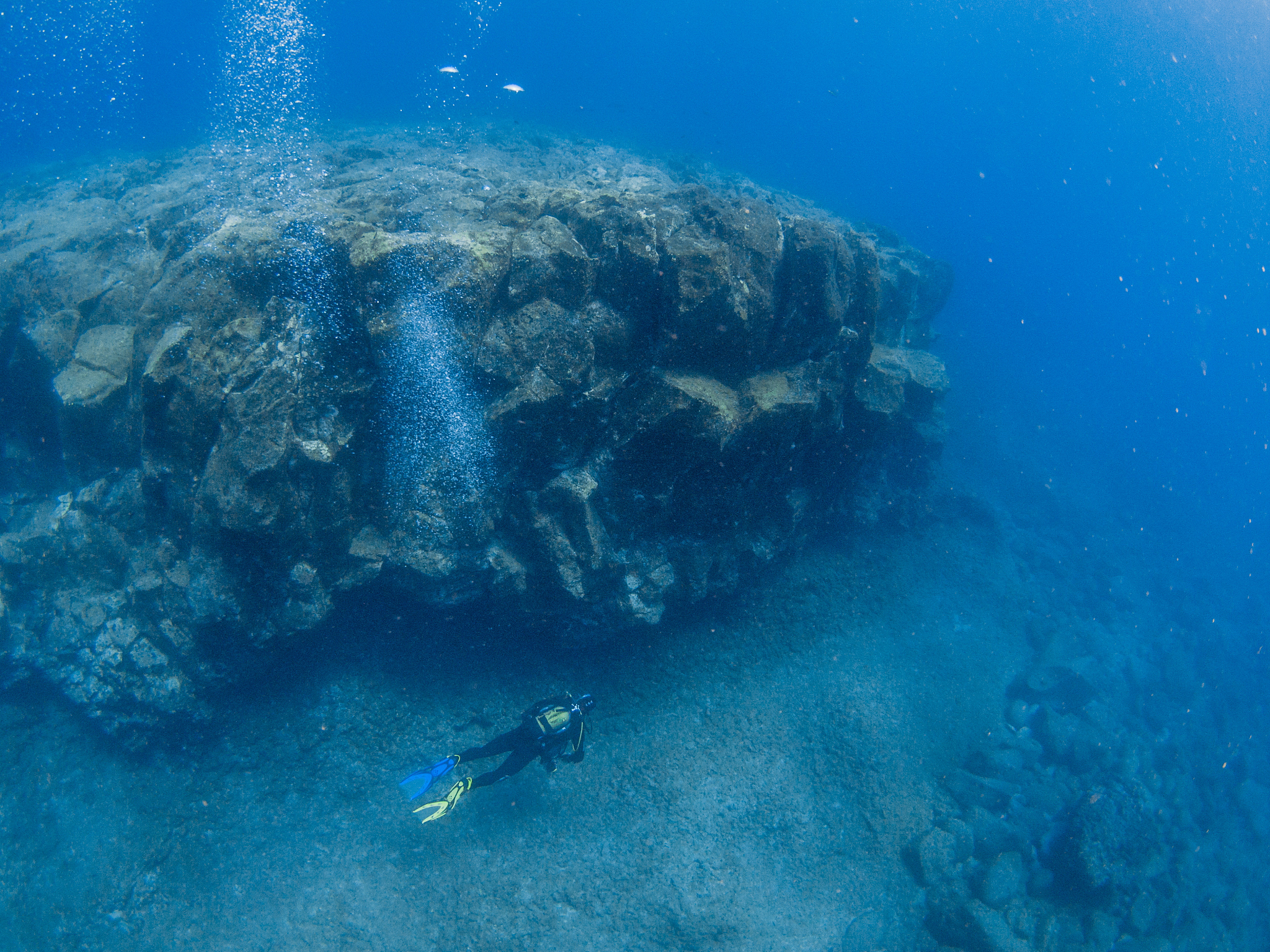 diving in the canary islands
