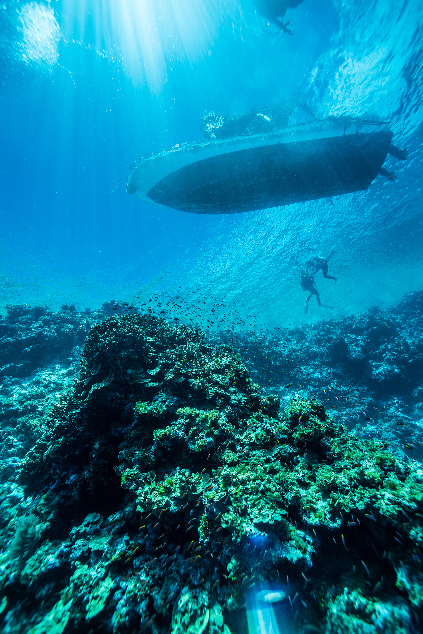 micronesia underwater