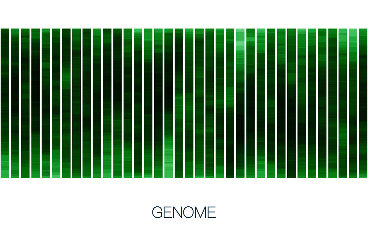 什么人种缺少一块肌肉没有任何人种缺少一块肌肉。每个人的肌肉构成都是相似的只是在大小和形状上有所不同。先天缺少一块胸肌会怎么样先天缺少一块胸肌是一种罕见的疾病又称为 Poland综合症。这种情况下患者的一侧胸部会显得小而平坦而另一侧则正常发育。此外患者还可能出现其他身体畸形如手指或手臂的缺失或畸形。这种情况会对患者的生活和心理造成一定的影响但可以通过手术和康复治疗来改善。这个是基因病吗