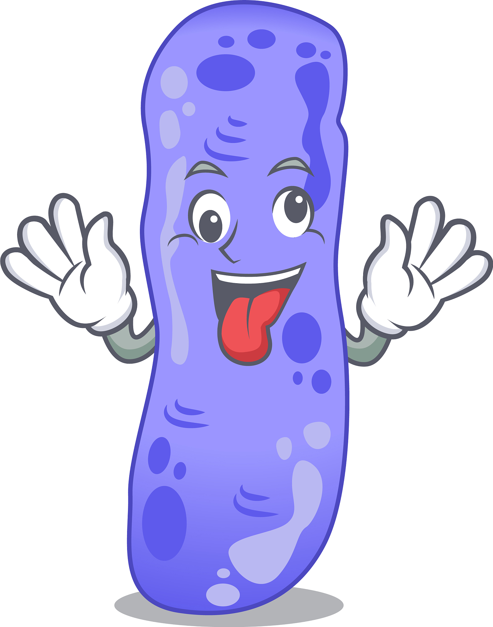 基囊菌门是什么？