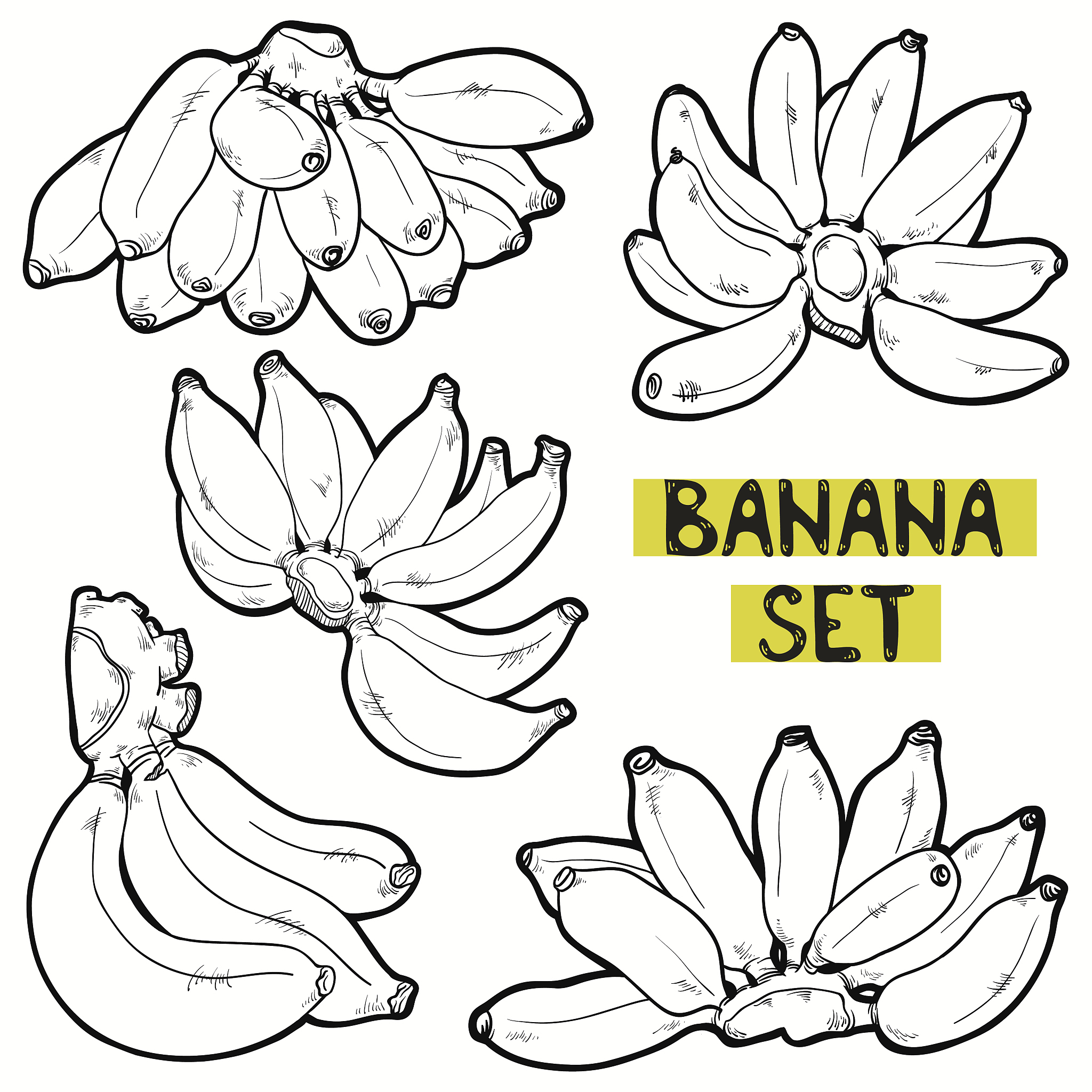 人一天需要多少钾约合几根香蕉