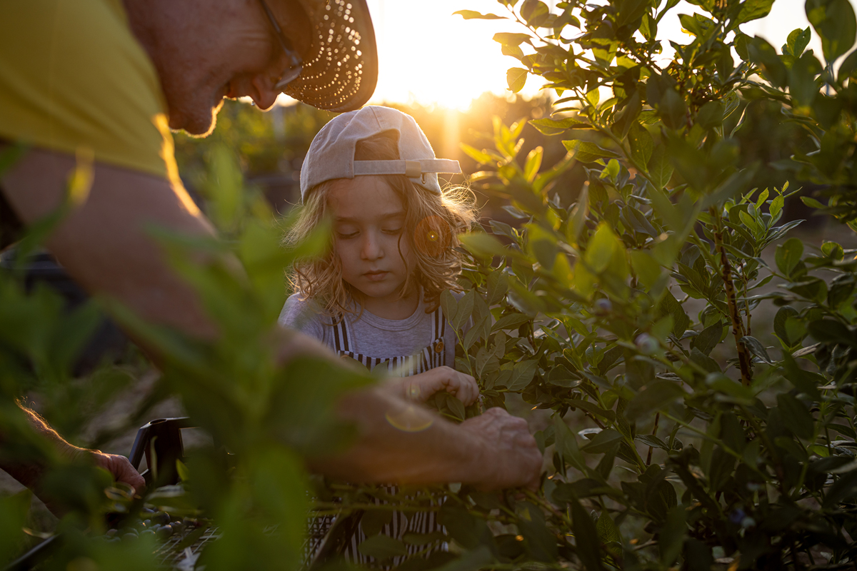 外婆的微笑：阳光从林间穿过，照亮童年的记忆