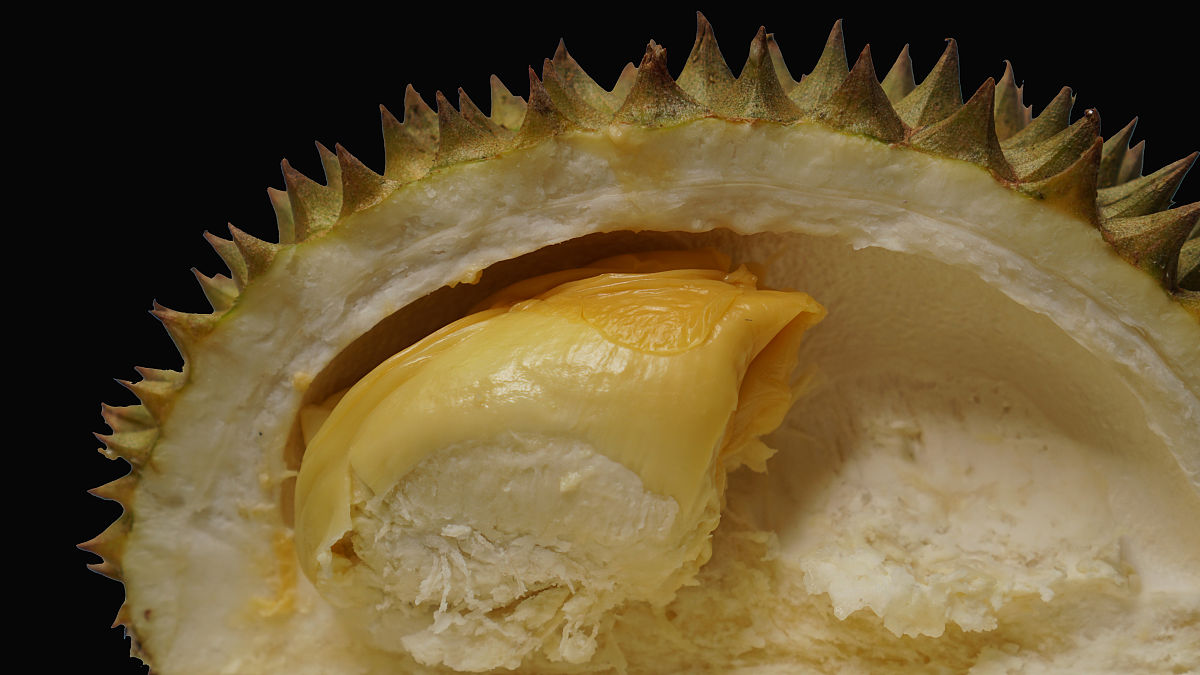 女生说买了个榴莲香的很怎么回