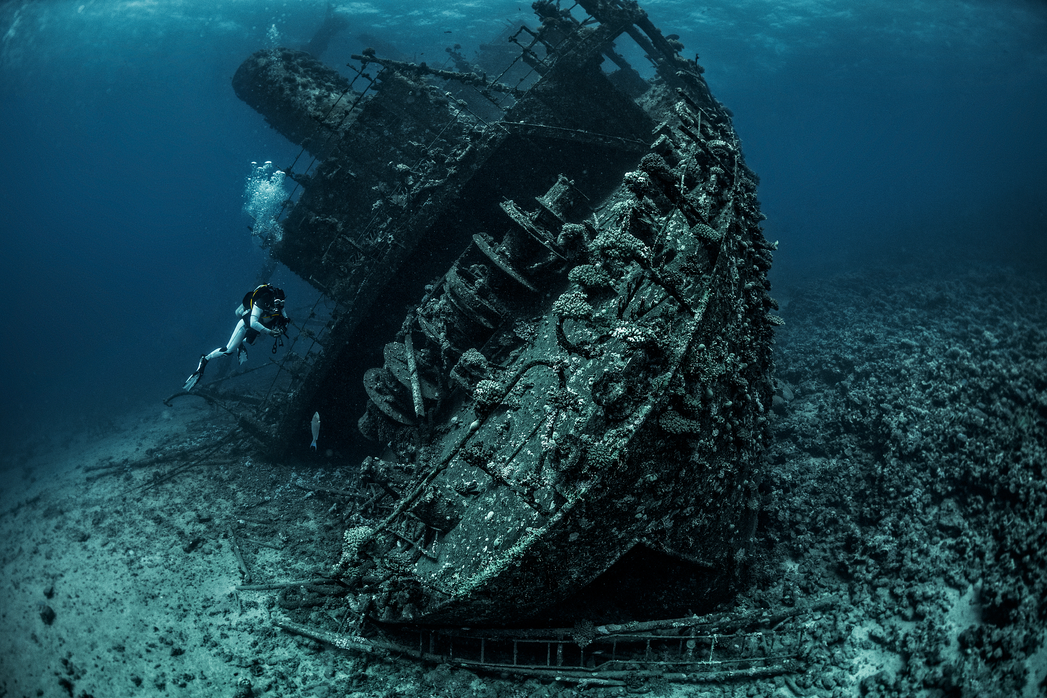 scuba diver examining a large shipwreck underwater in the red se