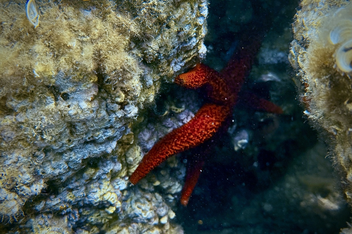 总结论文Distinguish seabed objects utilizing different marine acoustictechniques Amr Z Hamouda Mohamed A Nassar Suzan M El-Gharabawy ⇑ 的内容
