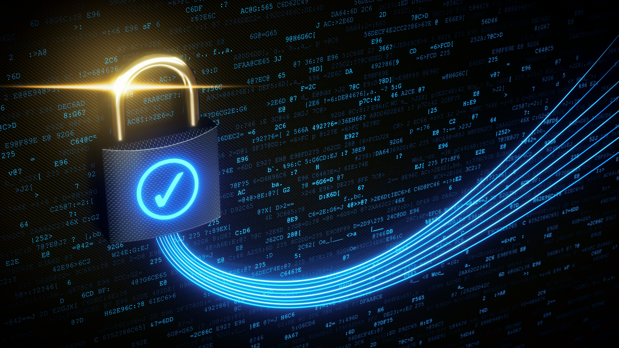 connected padlock with checkmark