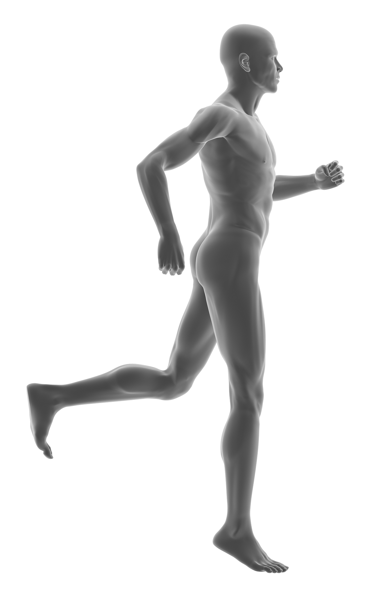 OpenSim环境下青年男性启动步态下肢生物力学研究