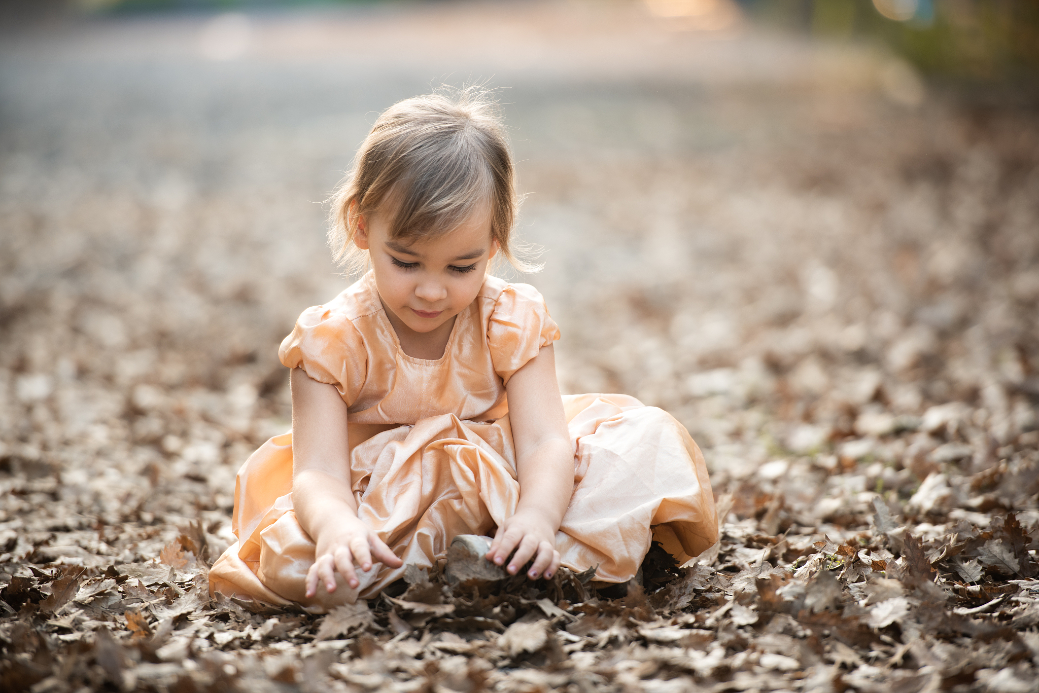 portrait of little child girl in autumn in nature park