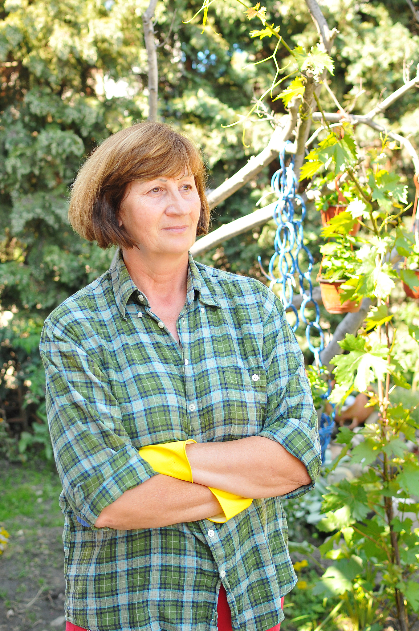 美国园艺学会期刊 (JASH) 的现任主编是谁？