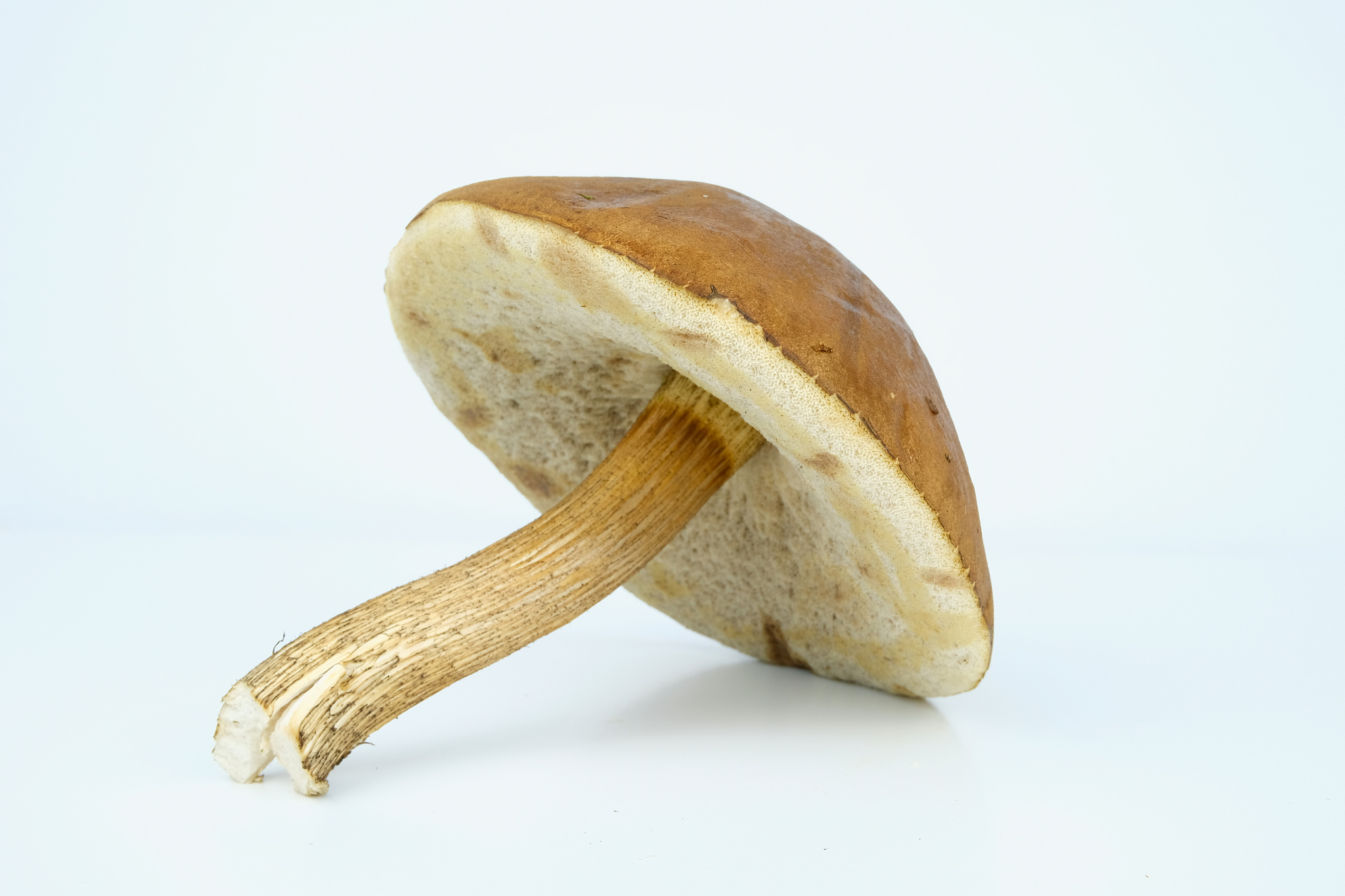 广州轻工职业学校2023年招生专业有哪些？- 附热门专业解读