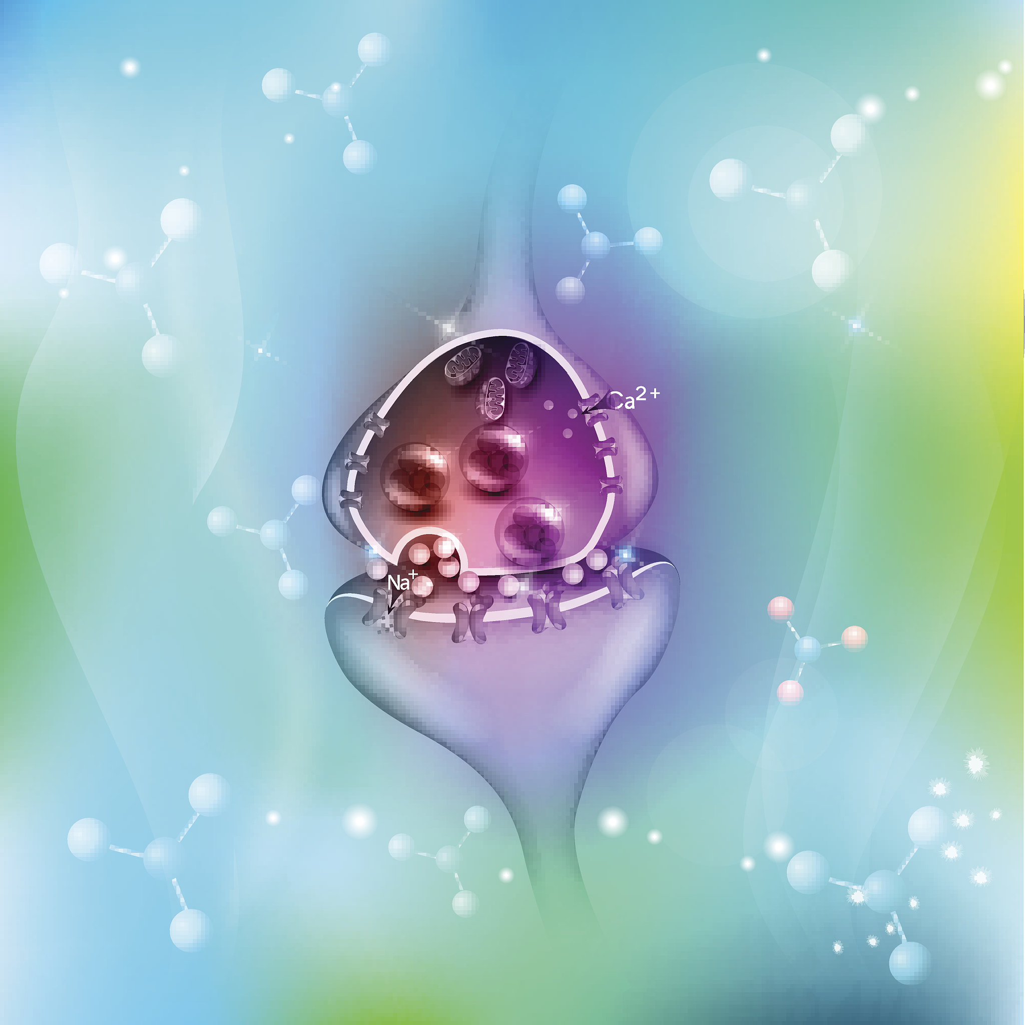 支气管哮喘发病机制：心理生理学因素解析