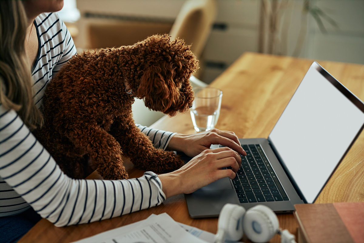 2万预算如何用短视频博主推广米粉？全方位规划指南