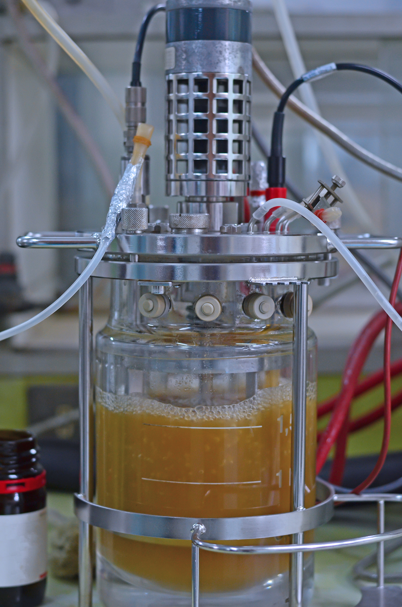 果酒陈酿过程电导率值怎么变化