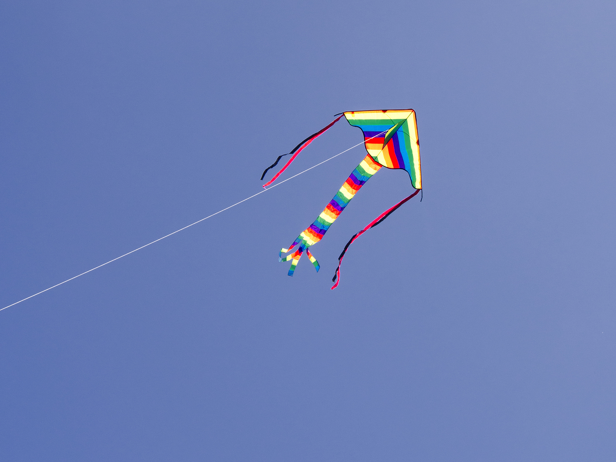 childs kite