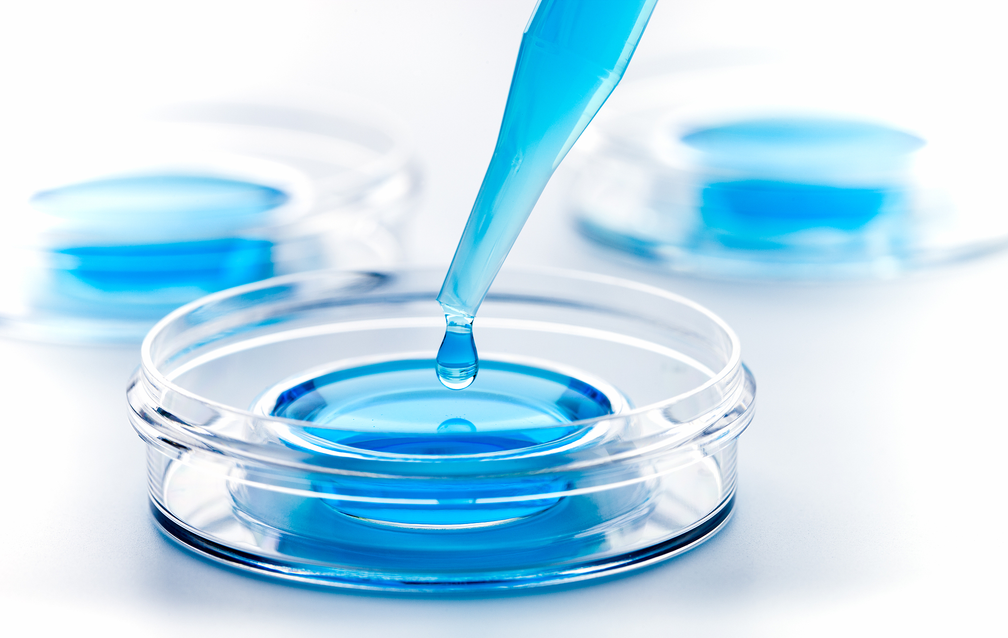 南开大学法学专业怎么样？优势、劣势及学习建议