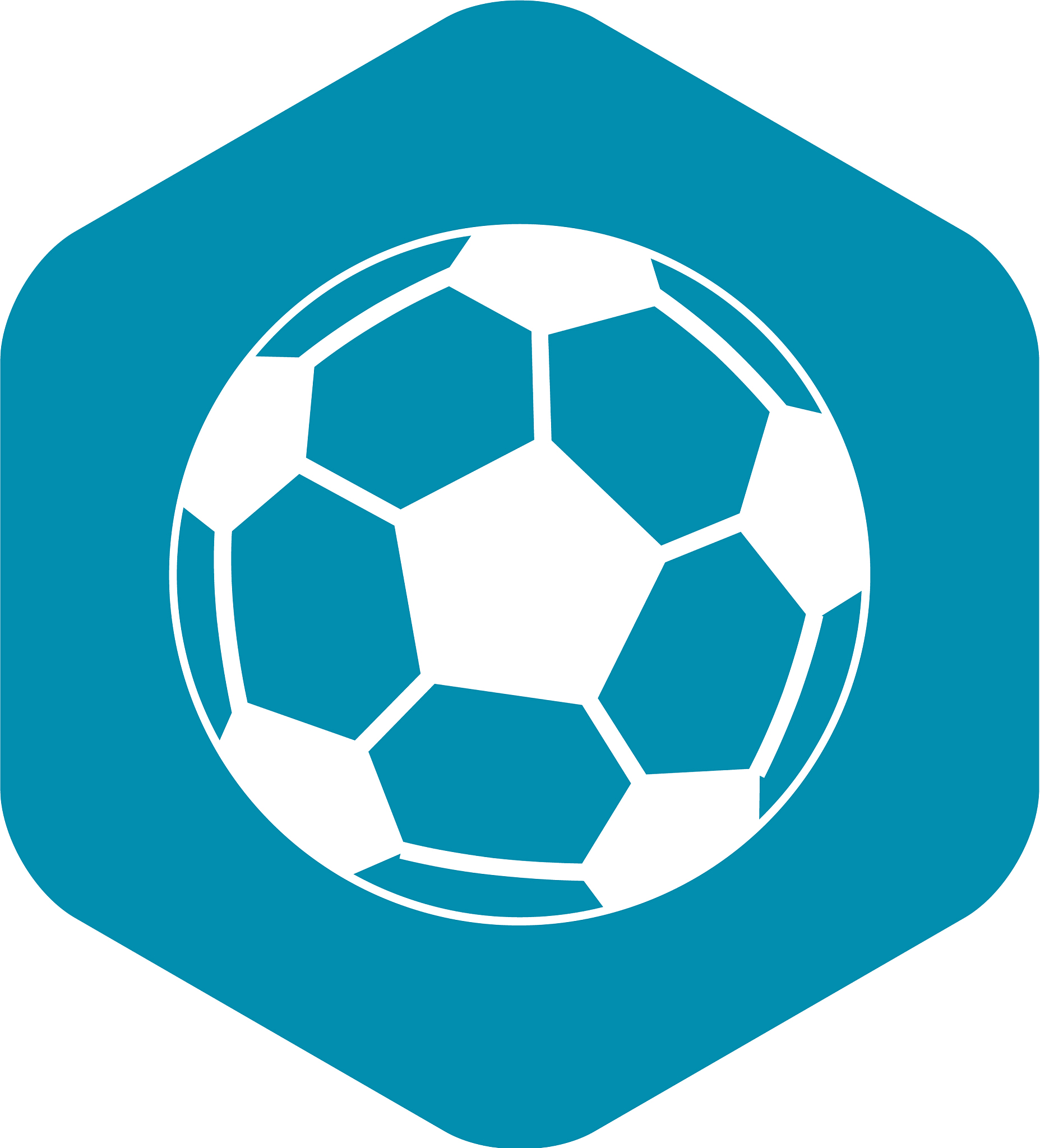 soccer ball icon in simple style