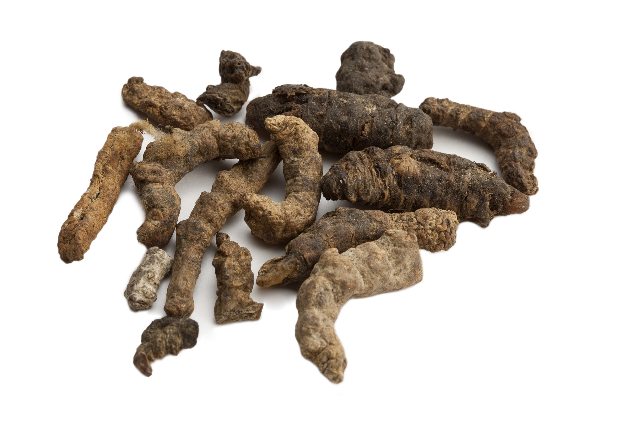 山西中医药大学中药学专业怎么样