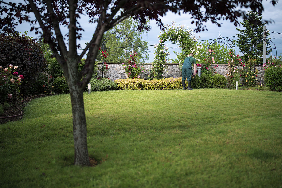 重庆园林技工学校：城市绿化建设的生力军