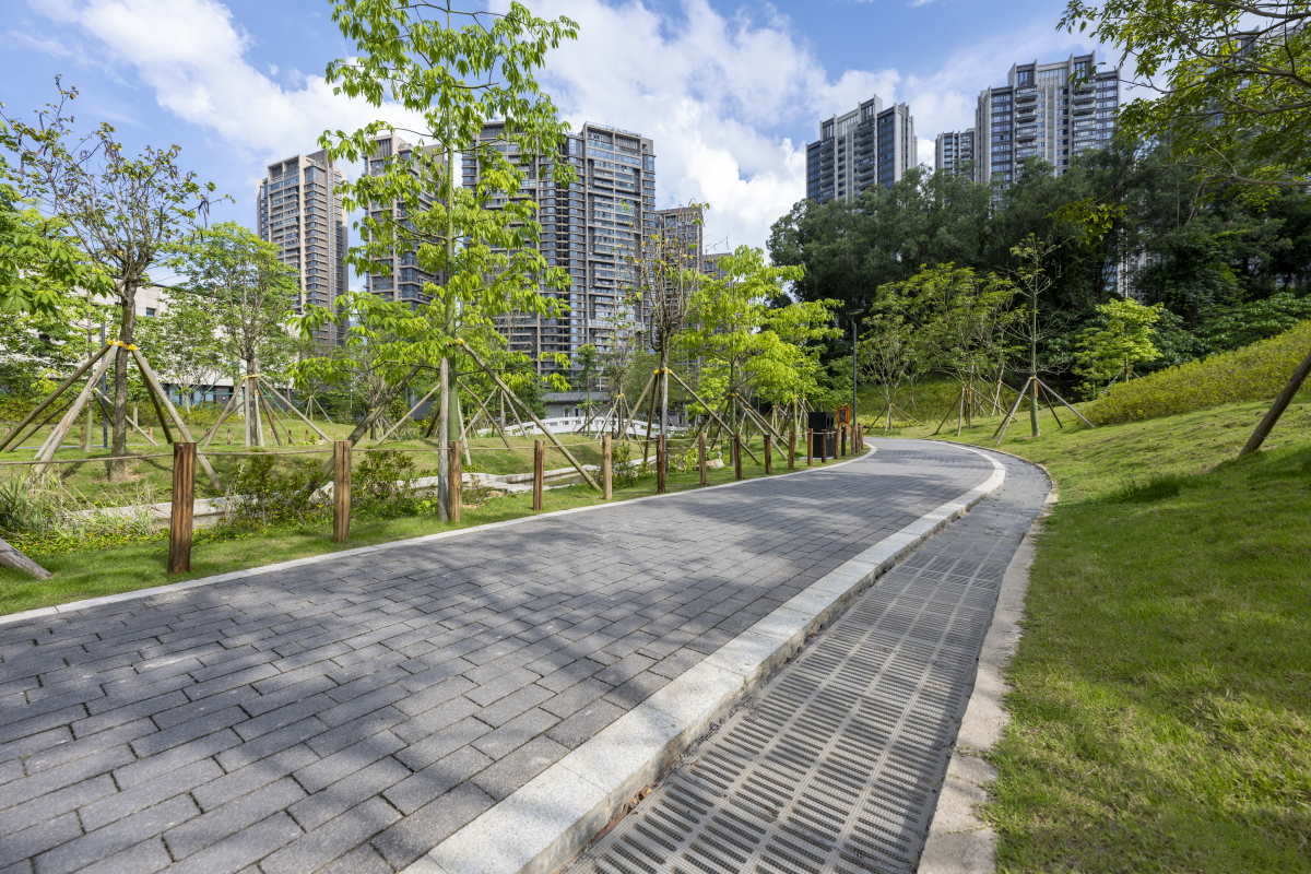 提升街道空间品质：从绿化美化到文化氛围