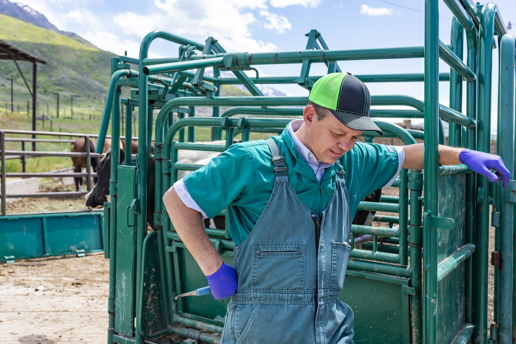 四川省有哪些中专学校开设了畜牧兽医专业