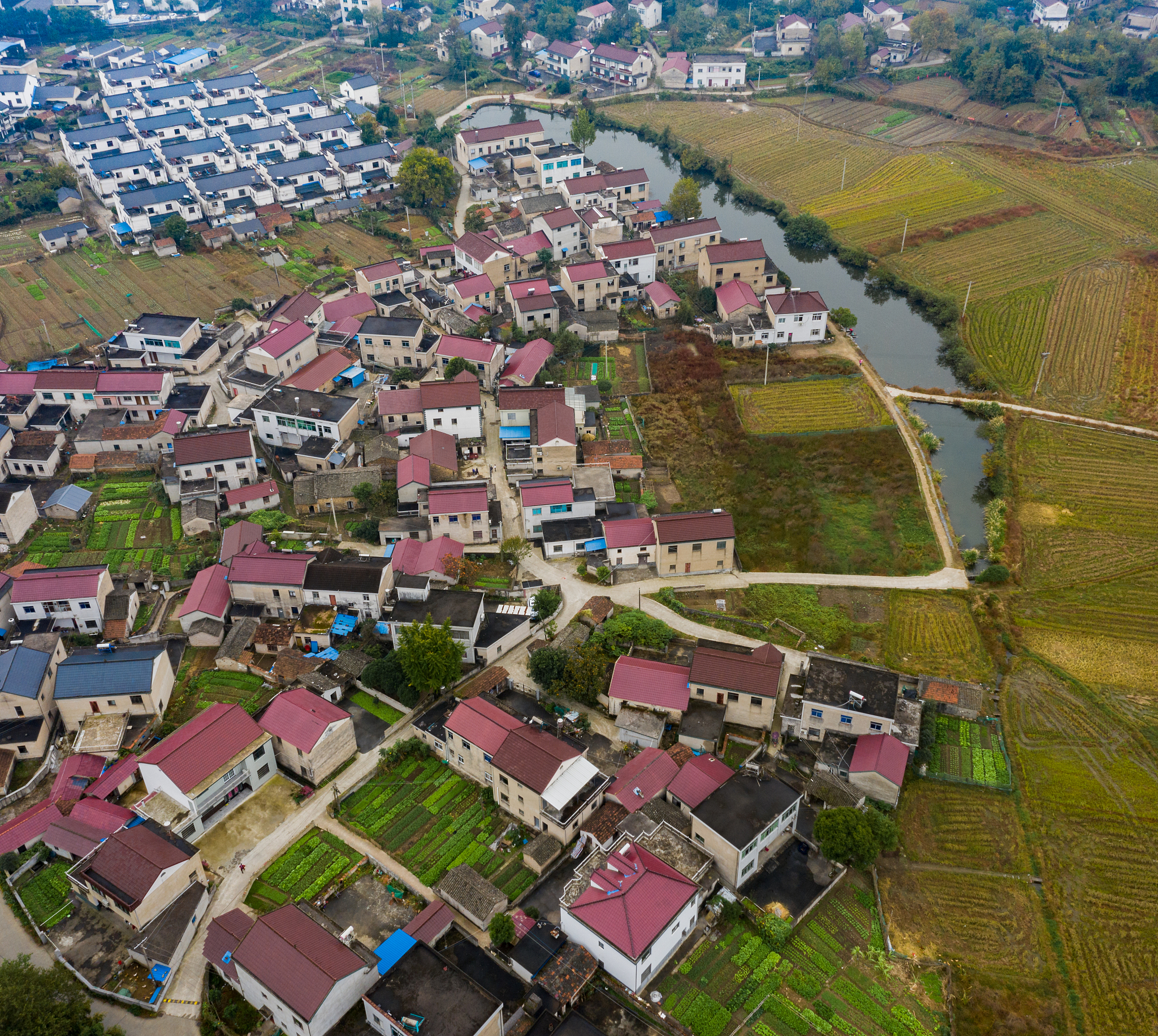 进行乡村振兴进行时的时间调查选择南京江宁区佘村作为调查对象请说明发展前后村名生活方式的改变