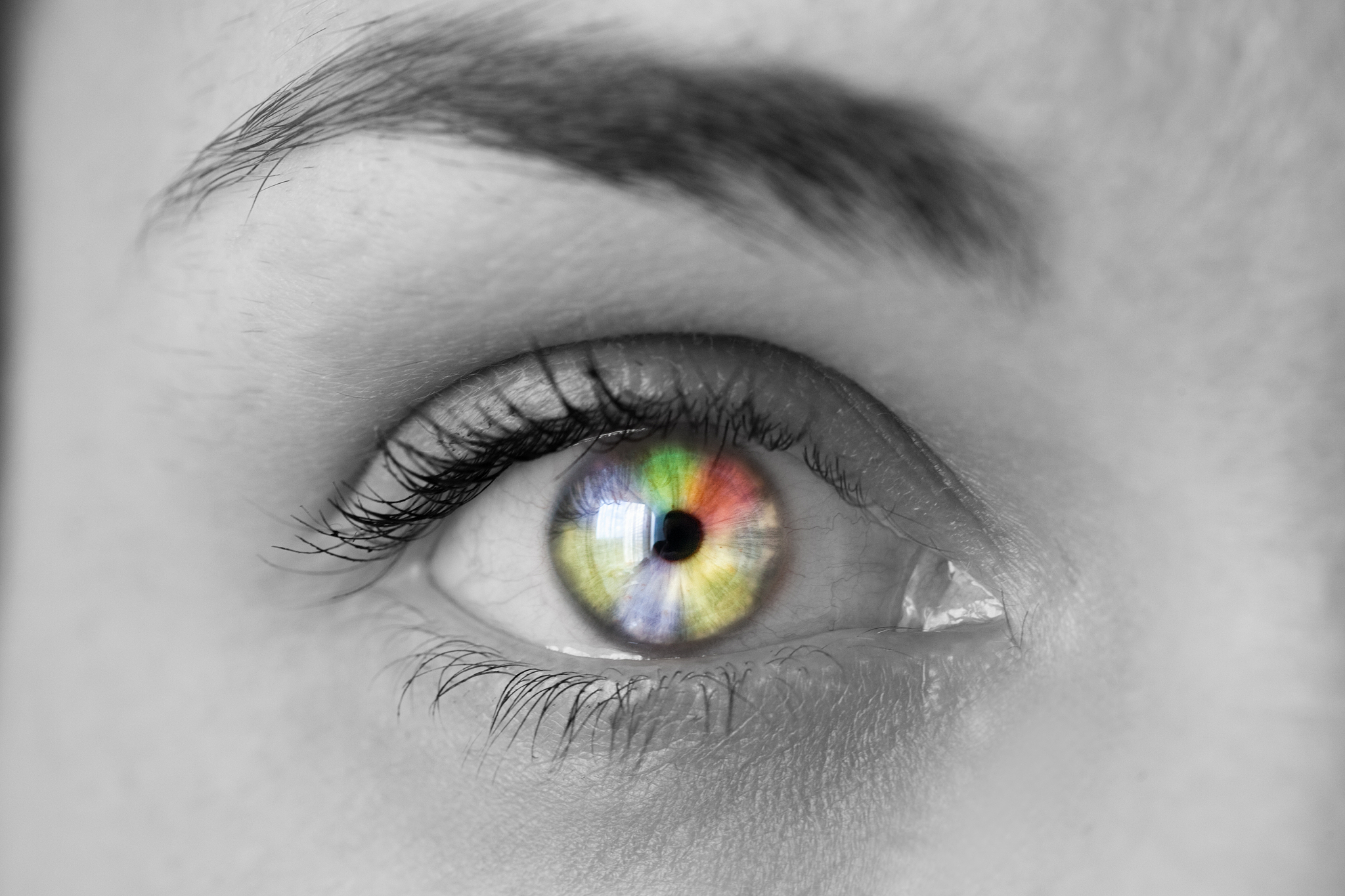 macro eye in diferent colors