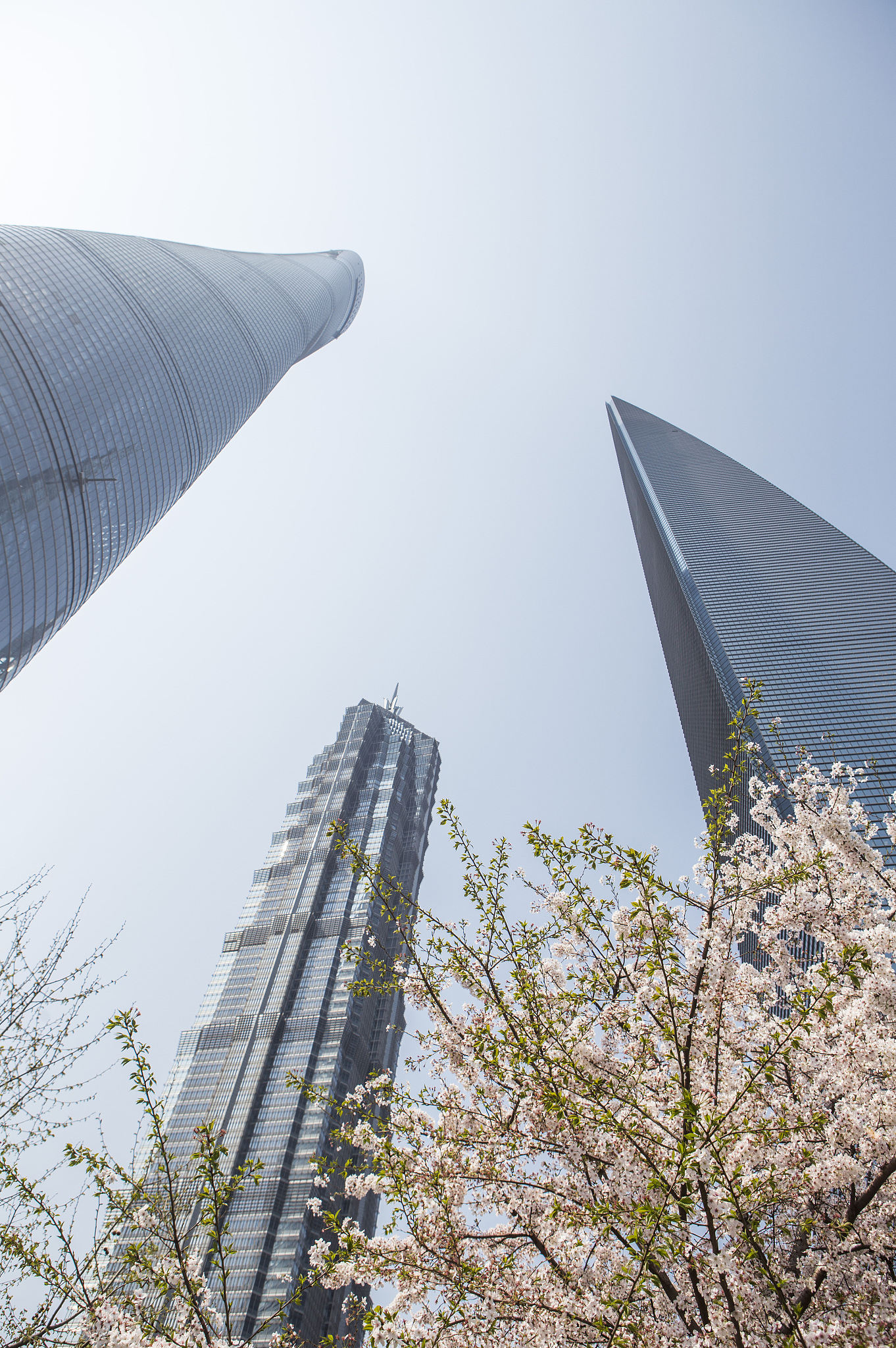 上海地标建筑：东方明珠、中心大厦、白玉兰、石库门、百乐门