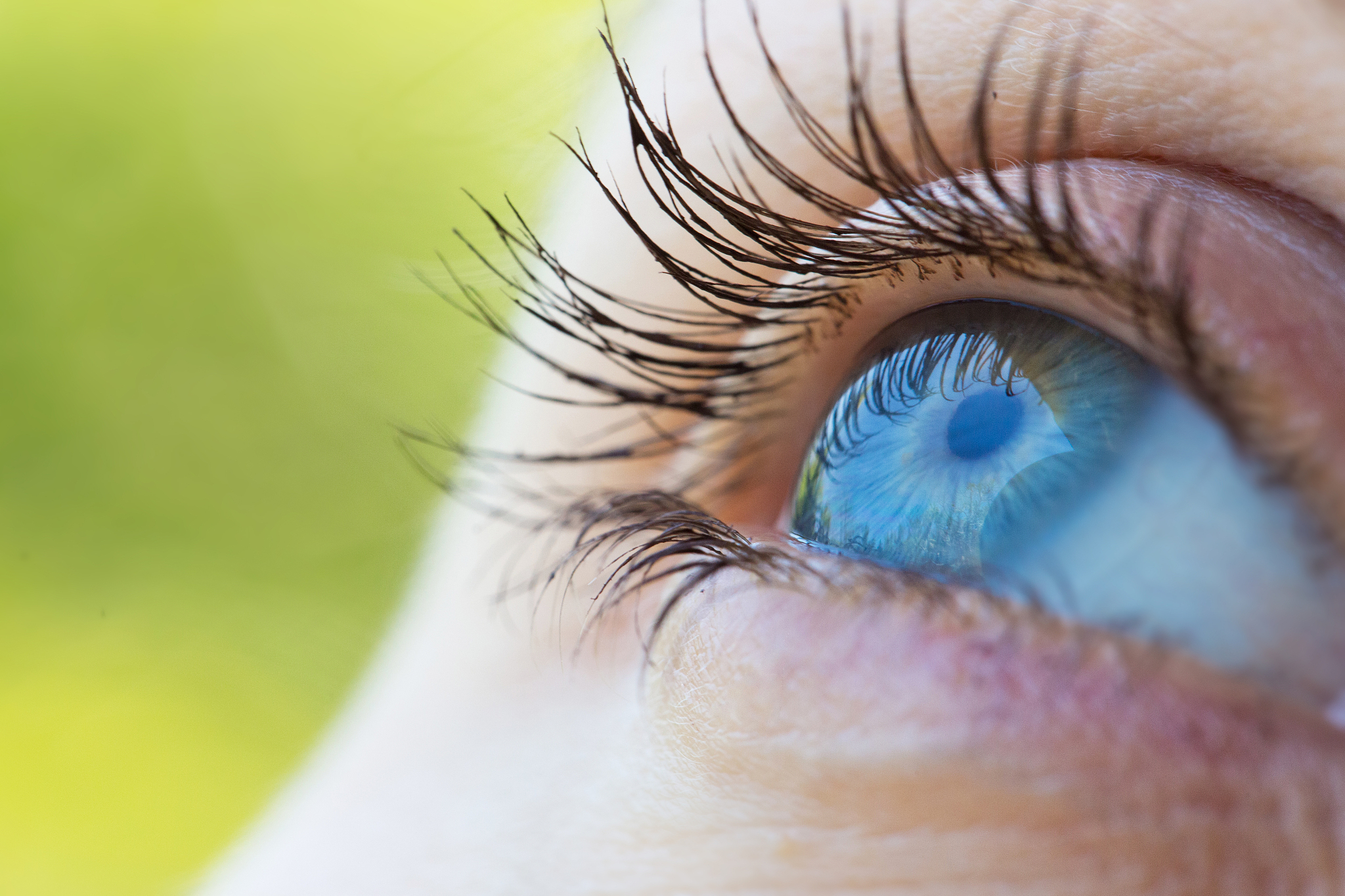 focus on blue eyes