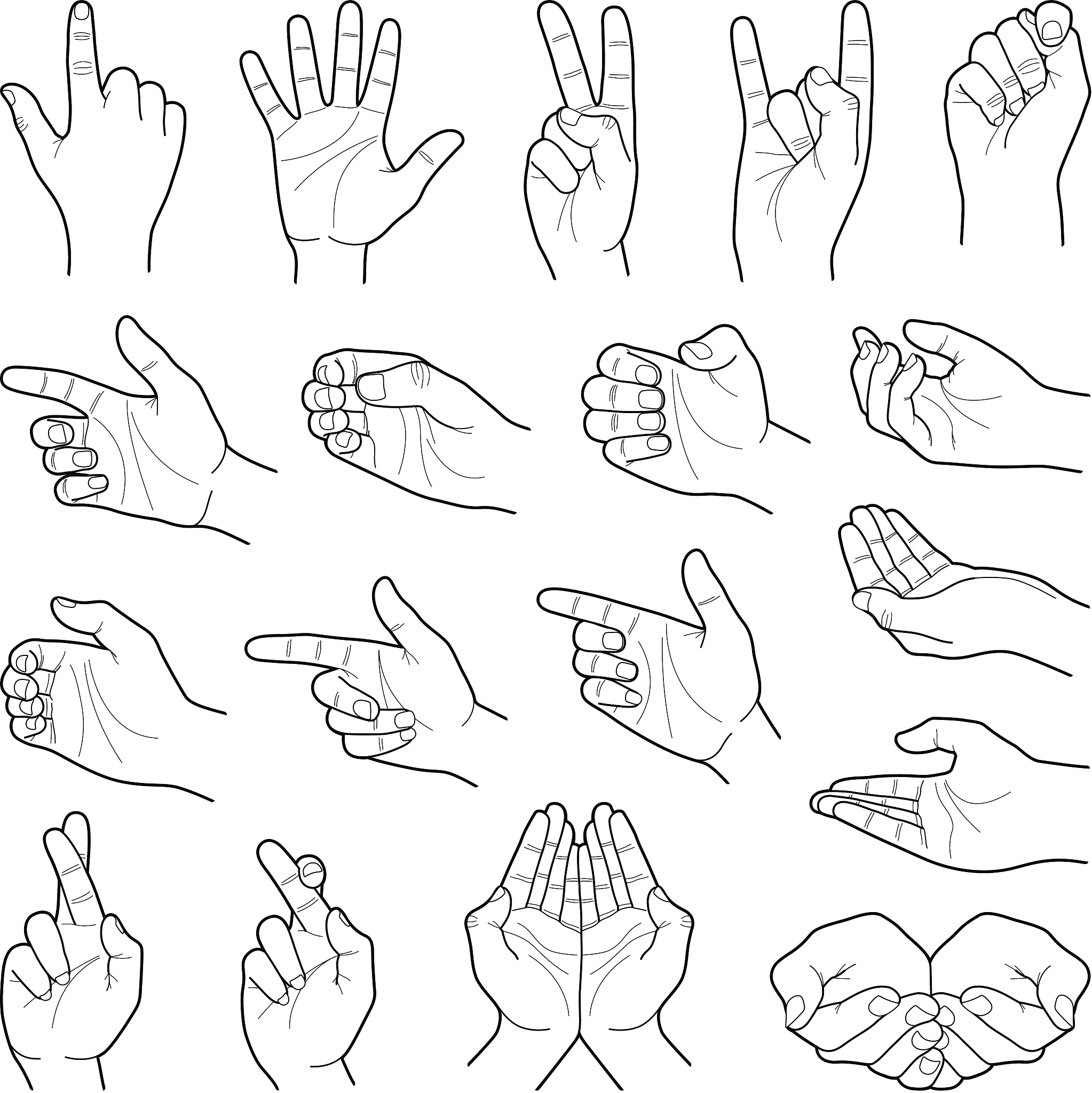 手语学习网站推荐：最全资源，助你轻松掌握手语！