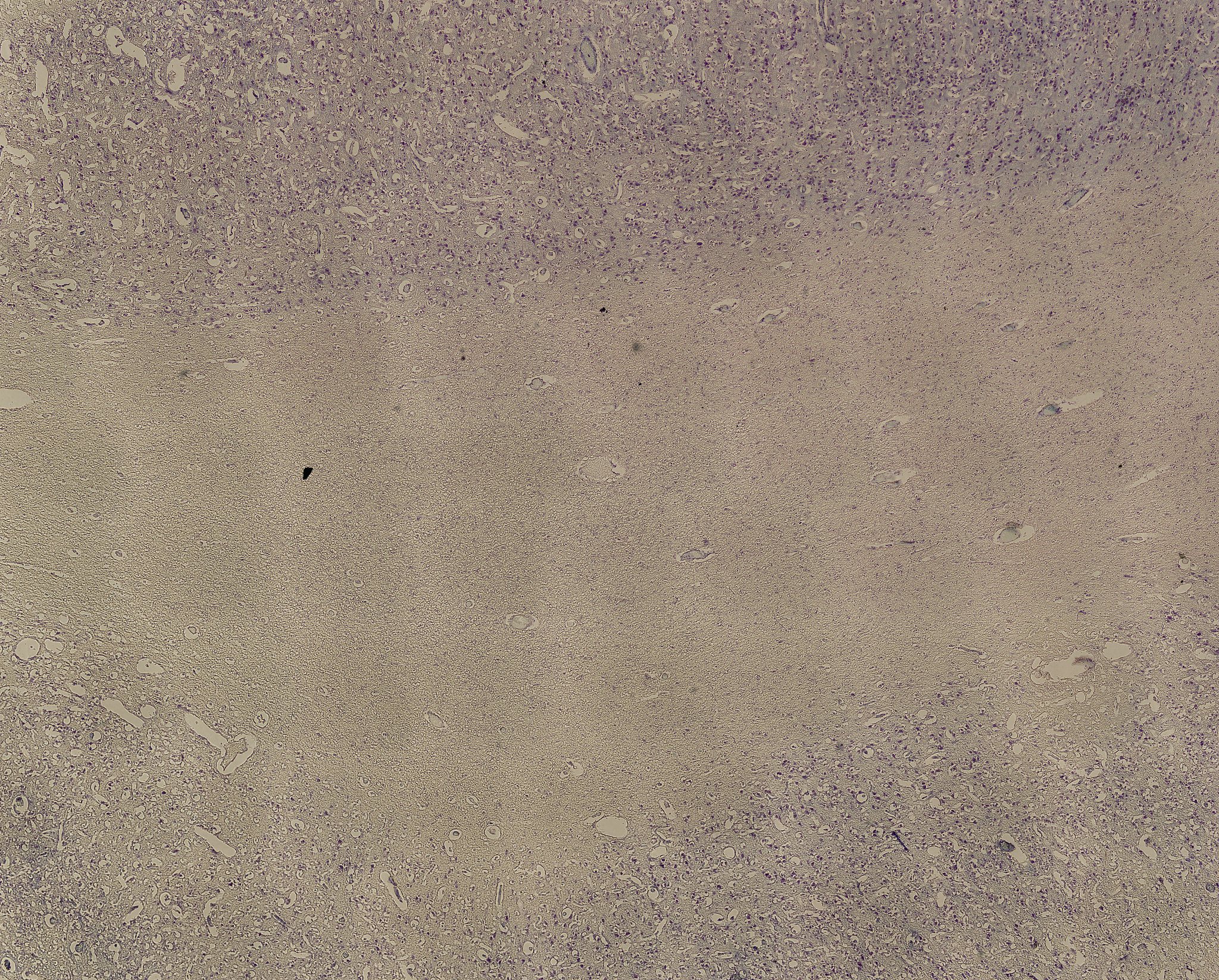 分子病理：病理临床规范化培训学员的选择