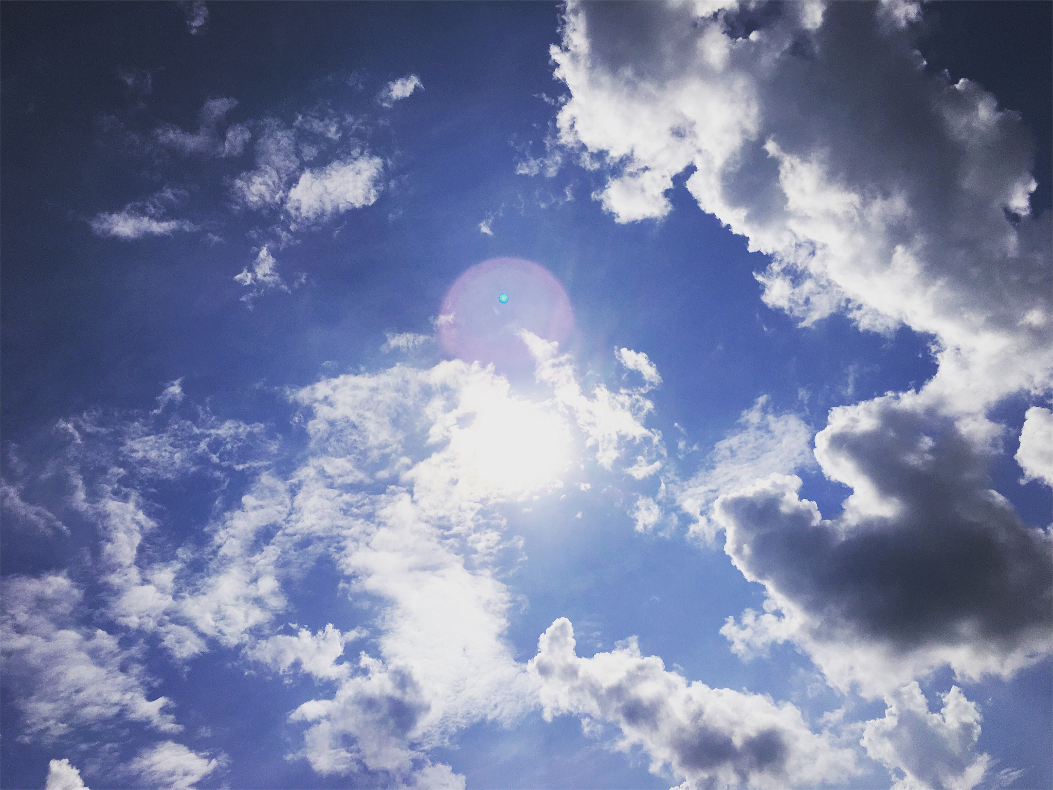 大地与长空：永恒的拥抱与爱恋