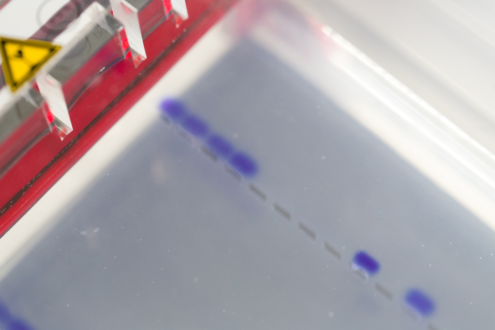 何为凝集试验？有哪些类型？