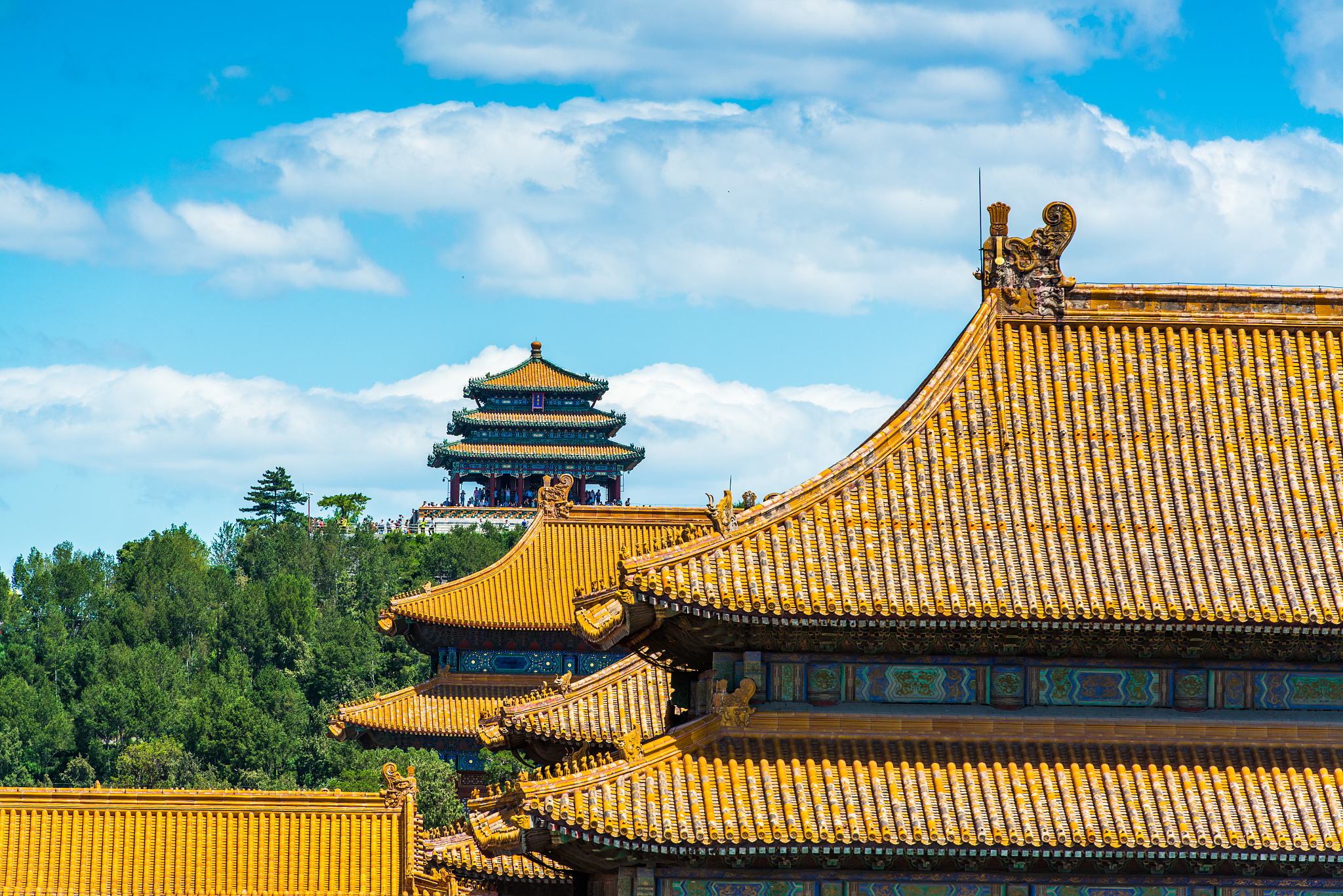 咸阳职业技术学院的旅游管理专业有没有行业前景