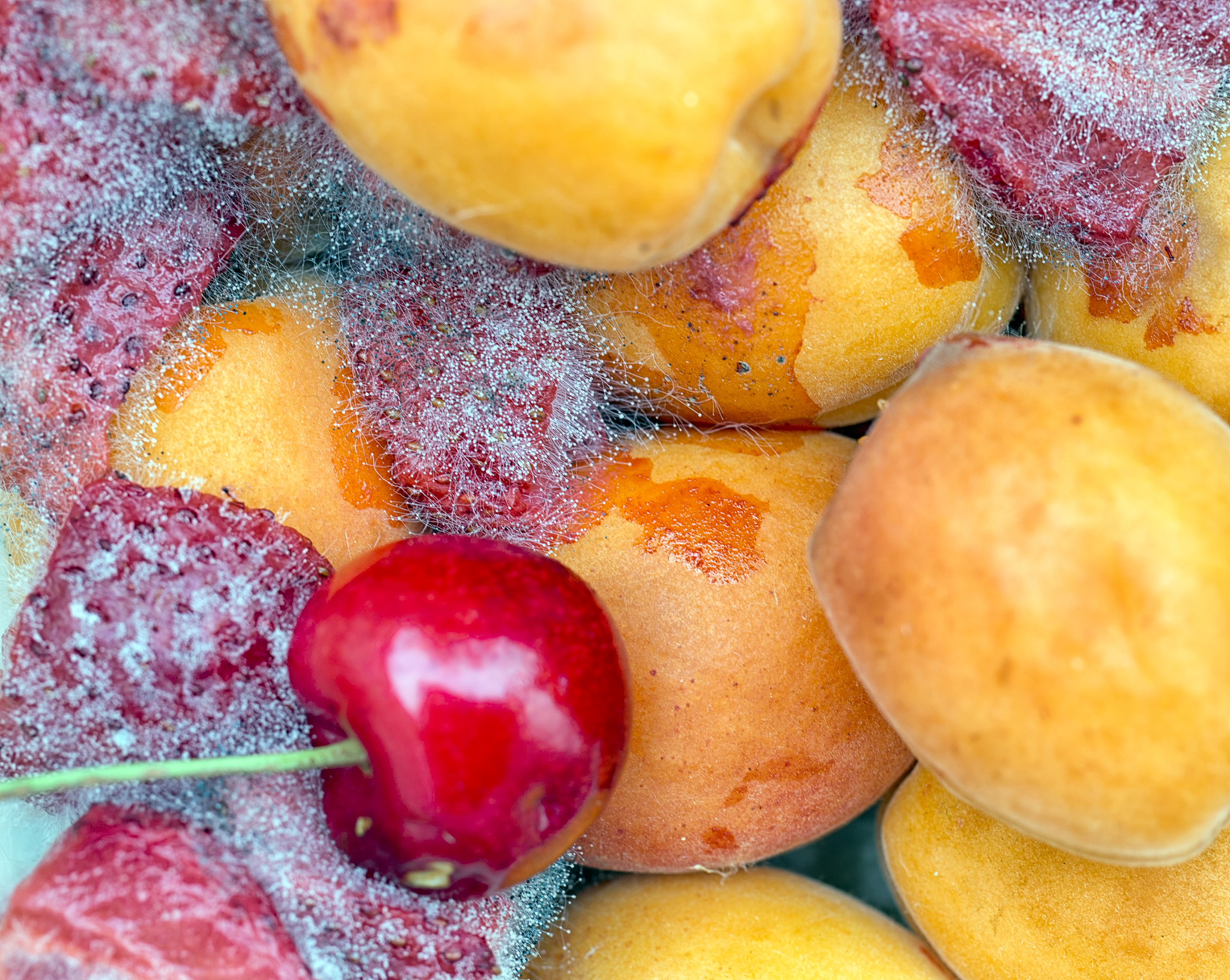 炸过水果的油是不是有水果味？