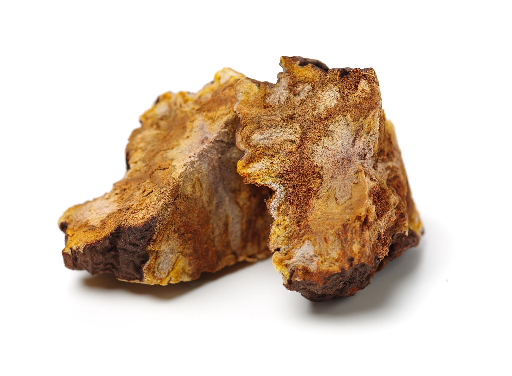 陕西省临床医学专业大学排名：哪所学校最好？