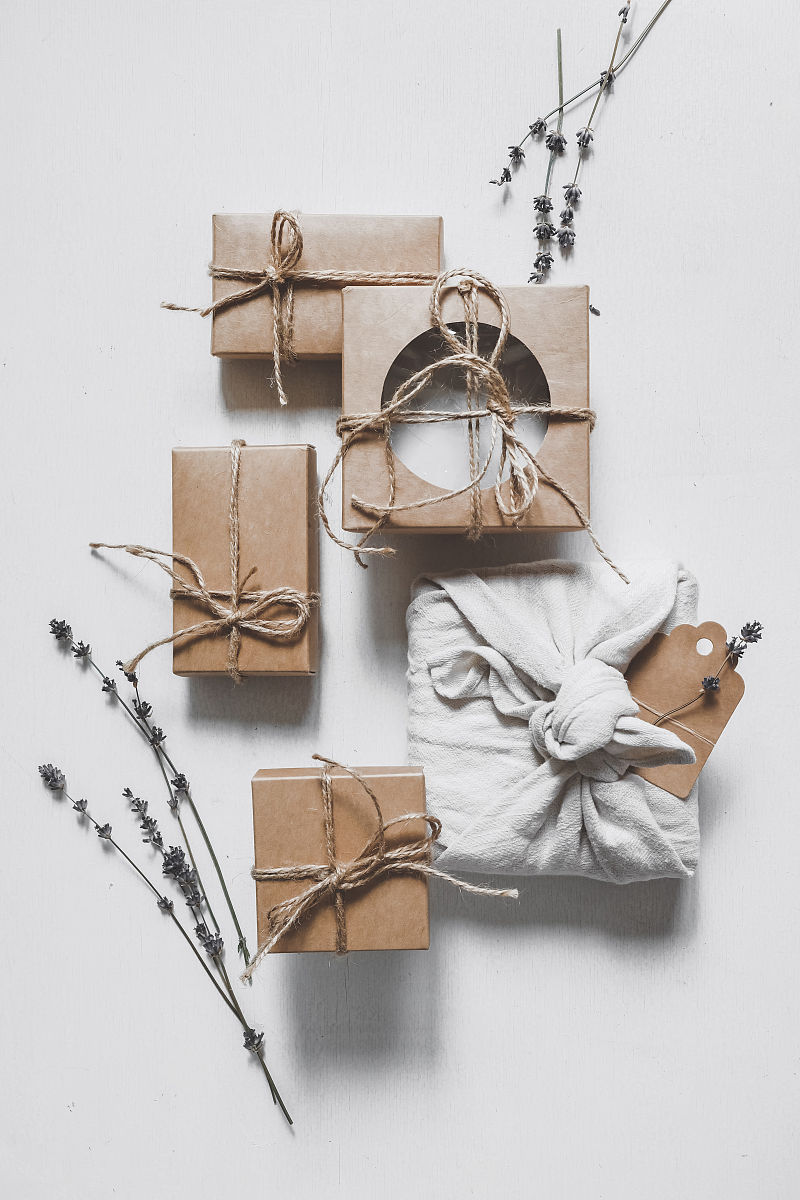 北京林业大学环境科学专业：学习、就业及发展方向