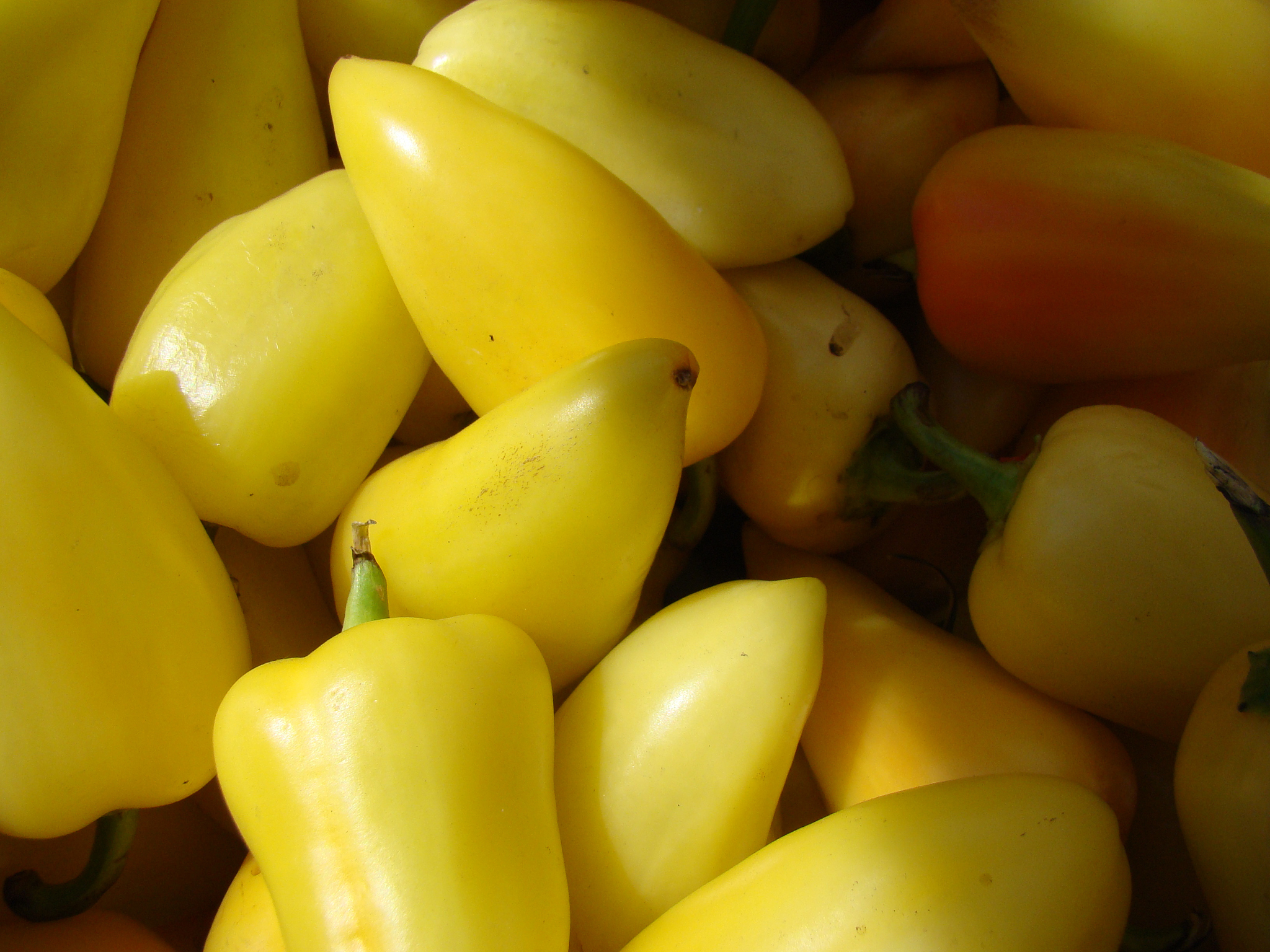 附件1xslx内容如下单品编码	单品名称	分类编码	分类名称102900005115168	牛首生菜	1011010101	花叶类102900005115199	四川红香椿	1011010101	花叶类102900005115625	本地小毛白菜	1011010101	花叶类102900011016909	花茄子	1011010501	茄类102900011022764	长线茄	101101050