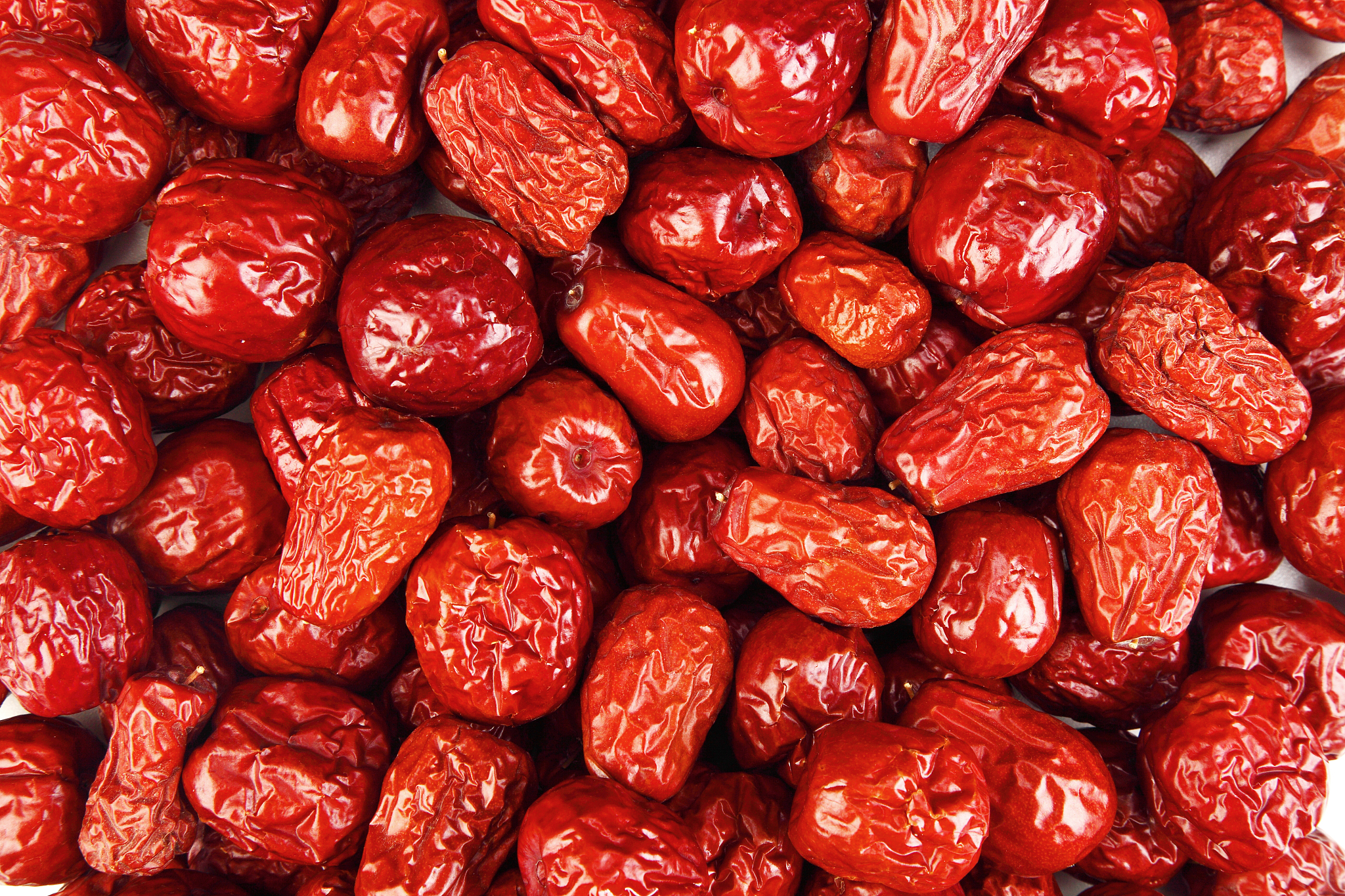 云南农业学校2019年五年制专业介绍