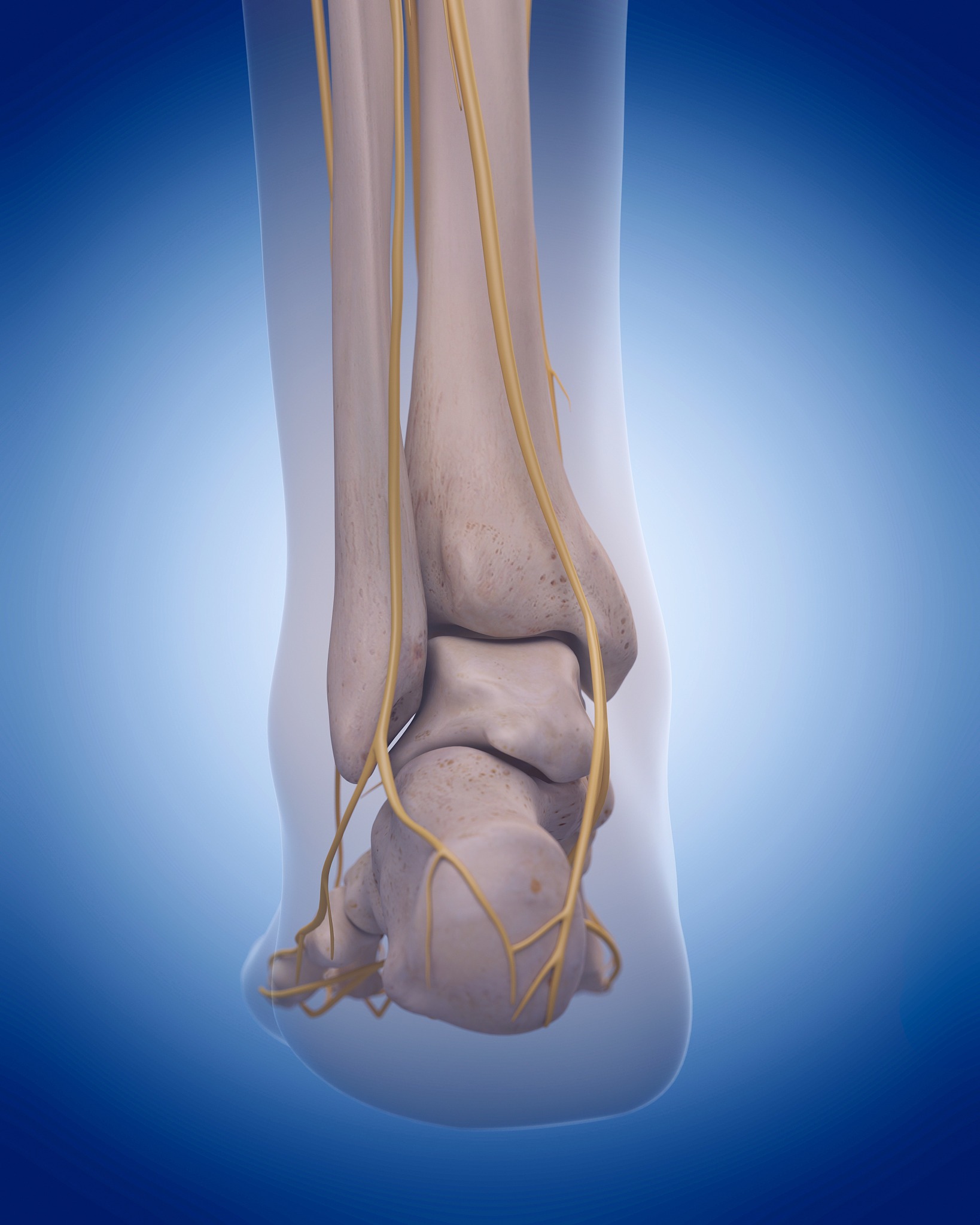 脚踝多次扭伤每次脚踝向内旋转时距骨处便会发生脆响这是怎么回事儿